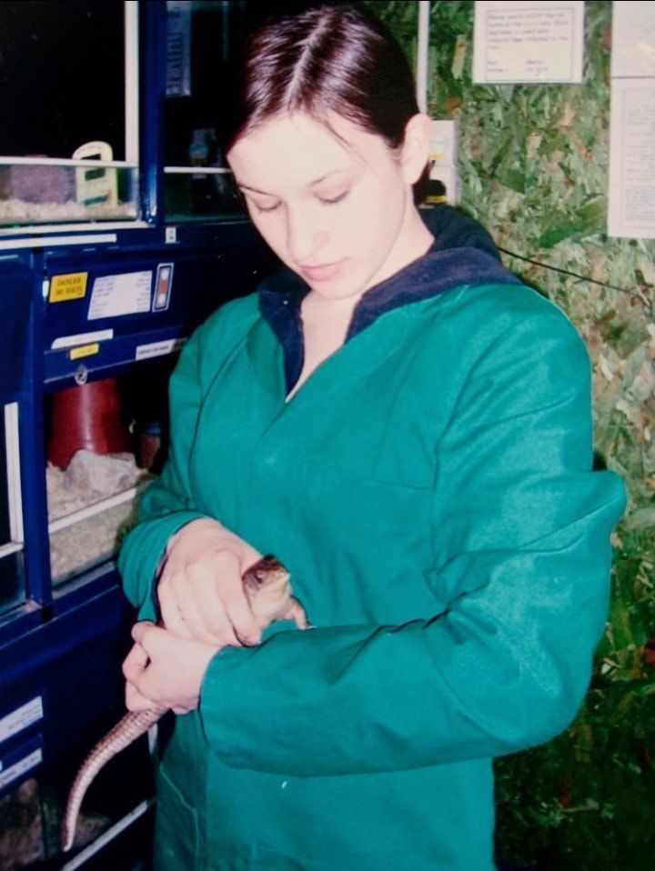 image-2