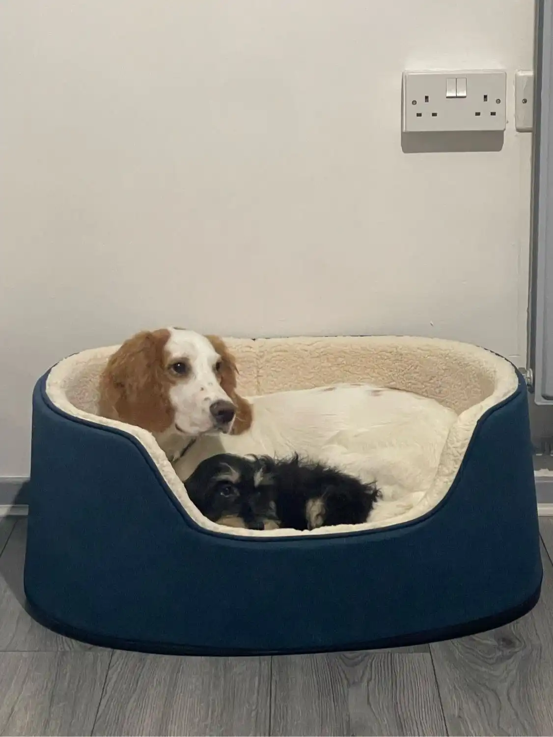 image-6