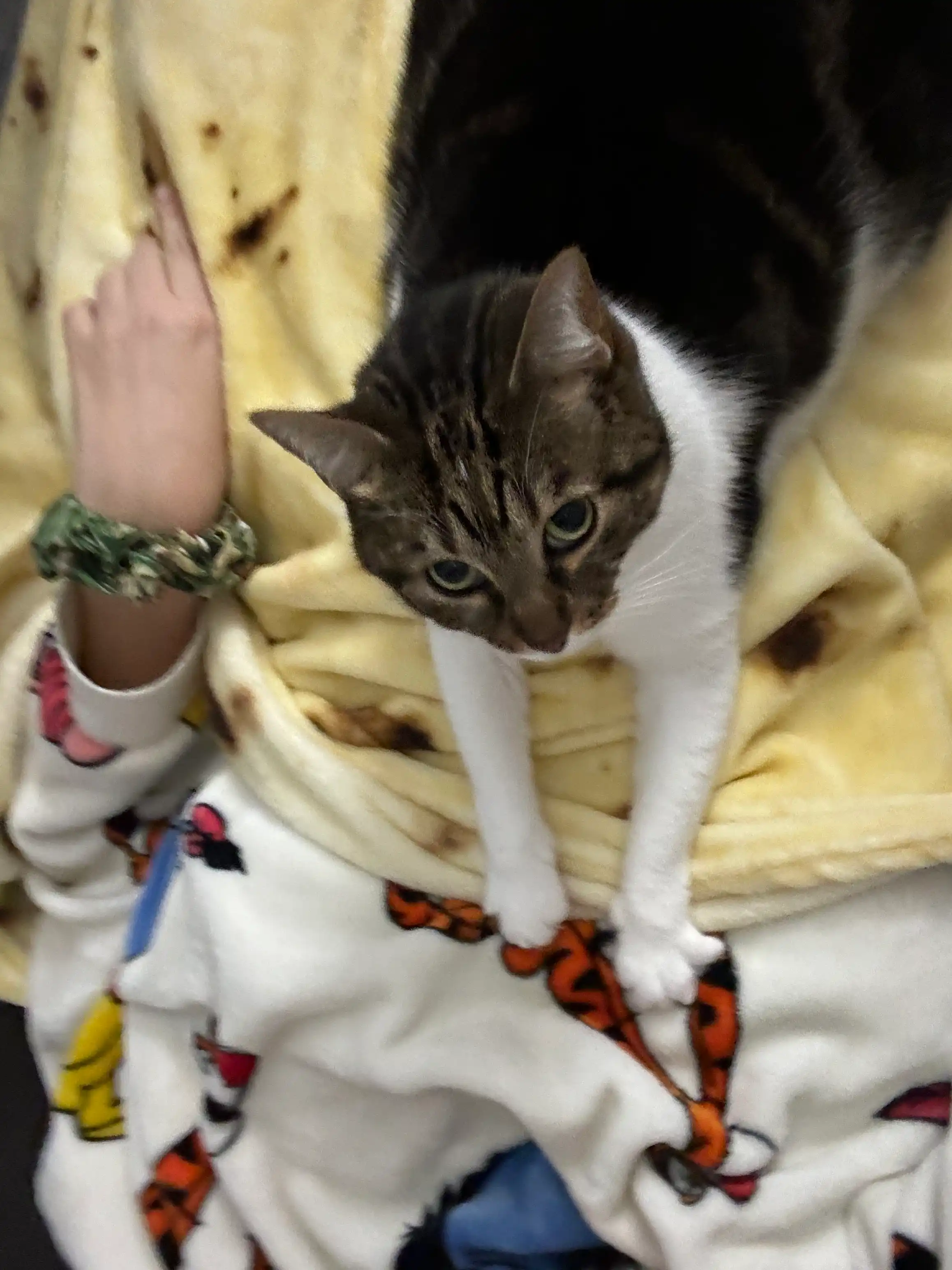 image-8