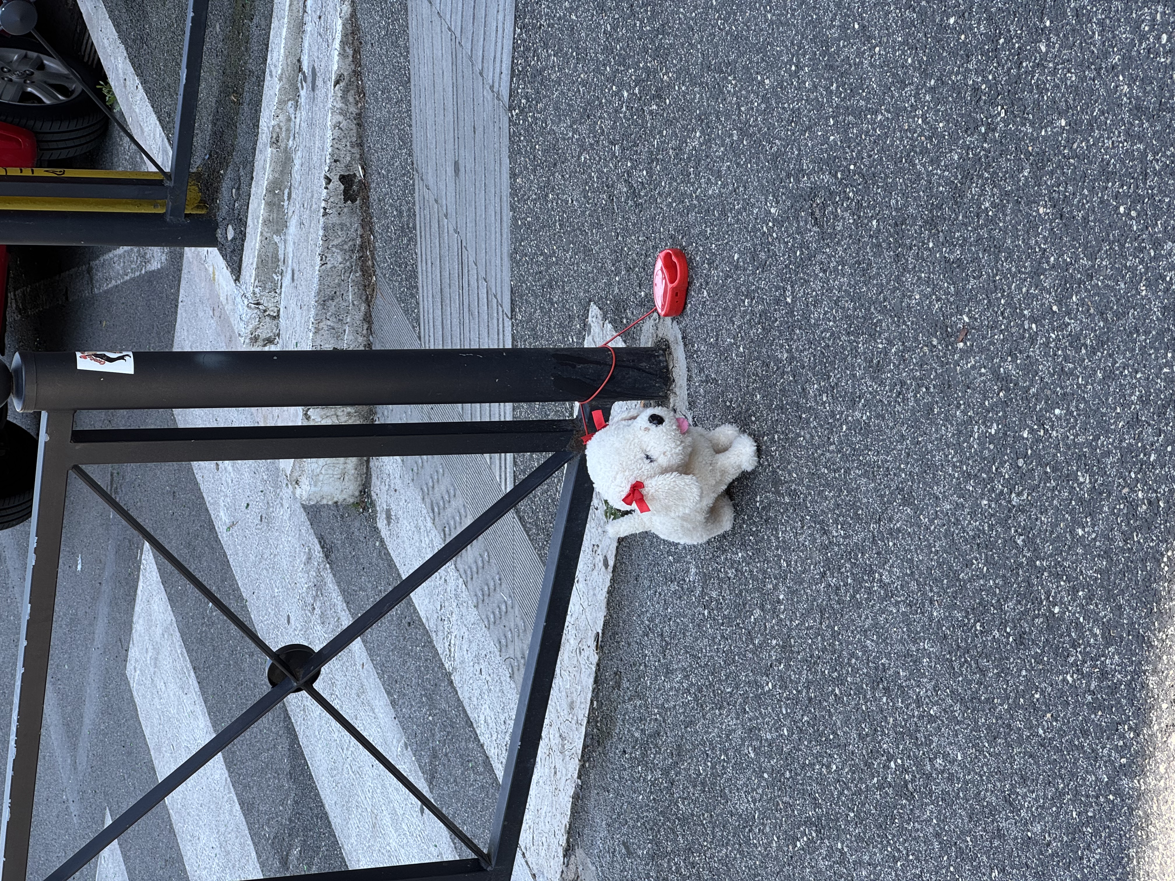image-5