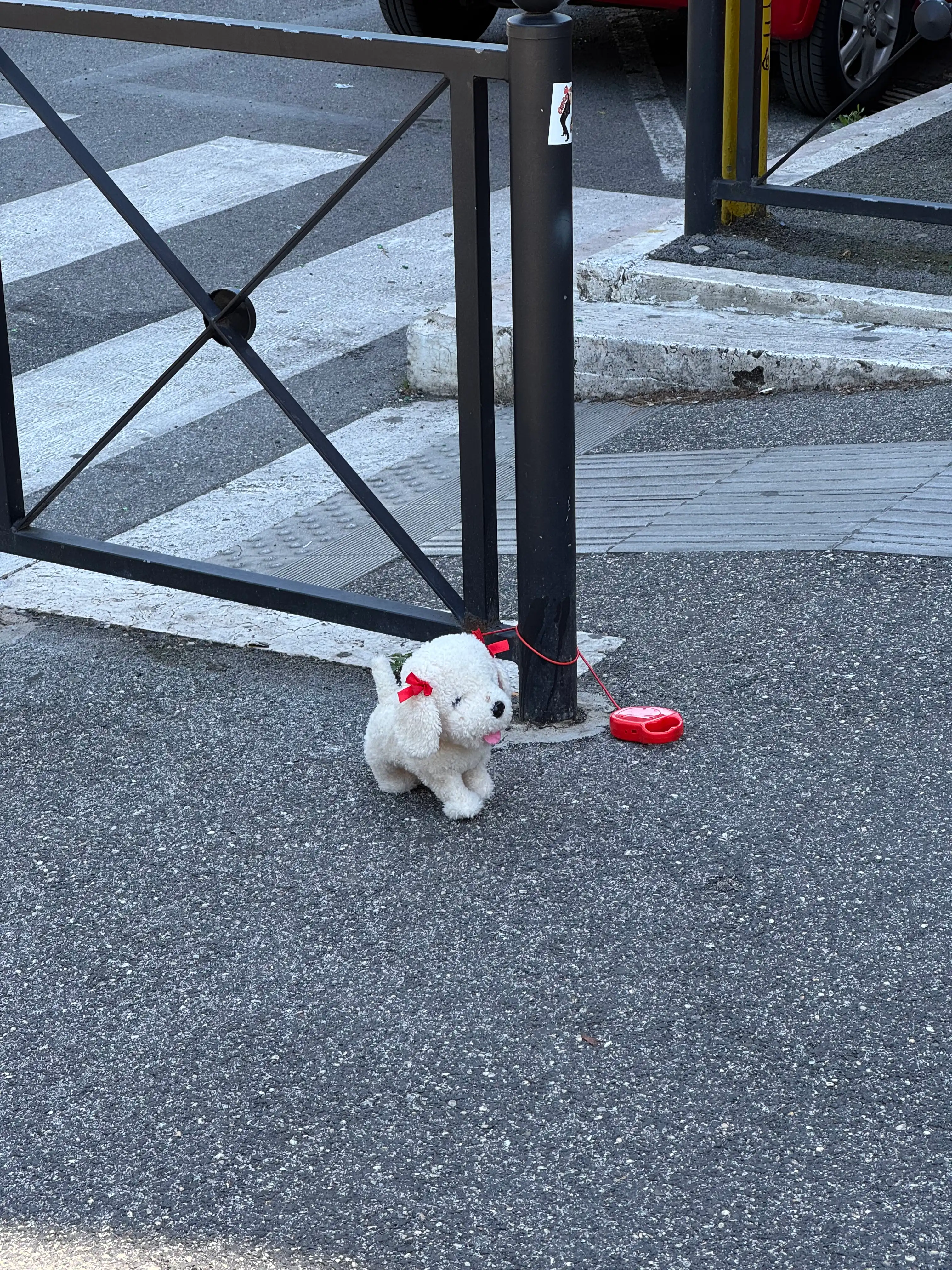 image-5