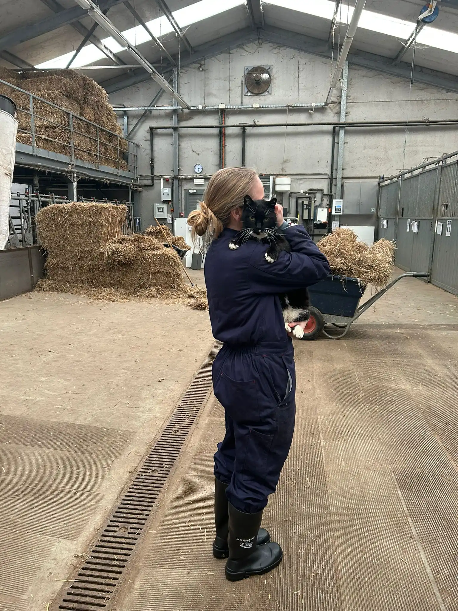 image-6