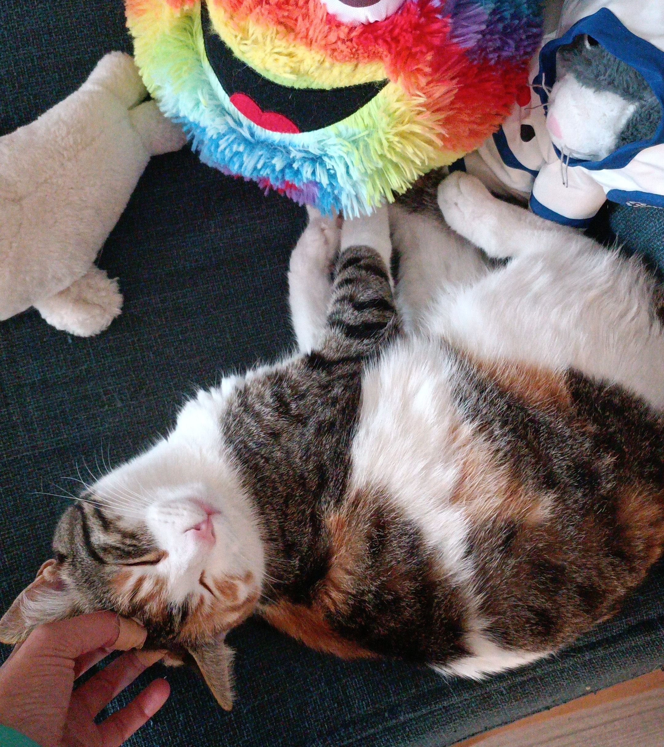 image-8