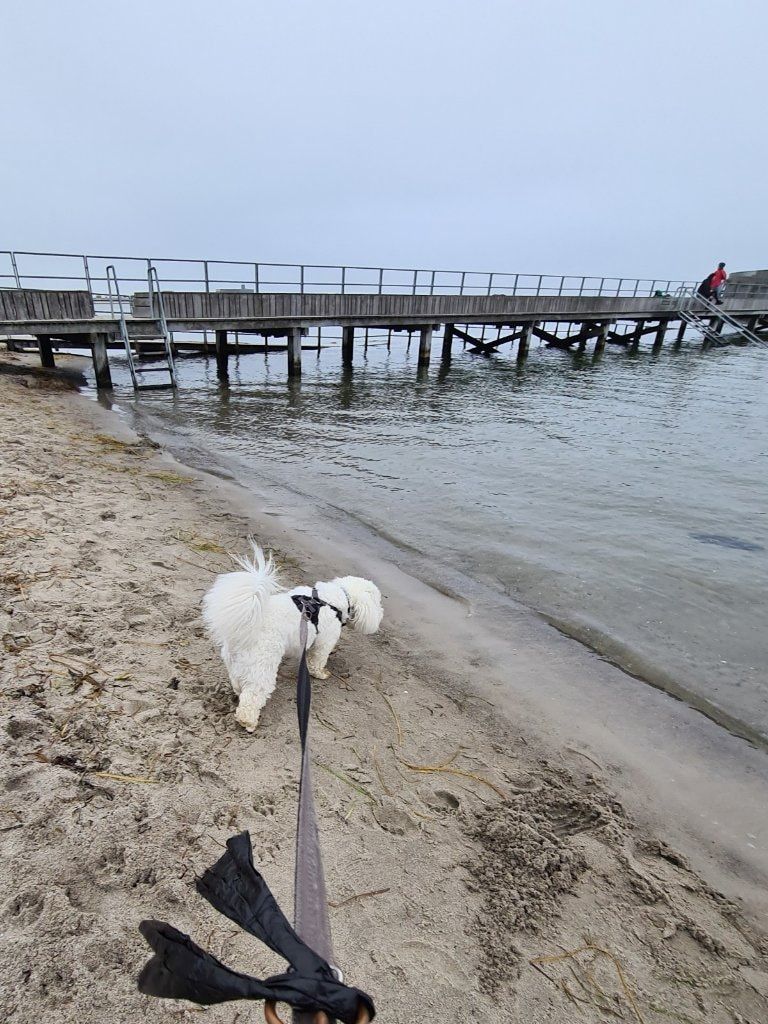 image-19