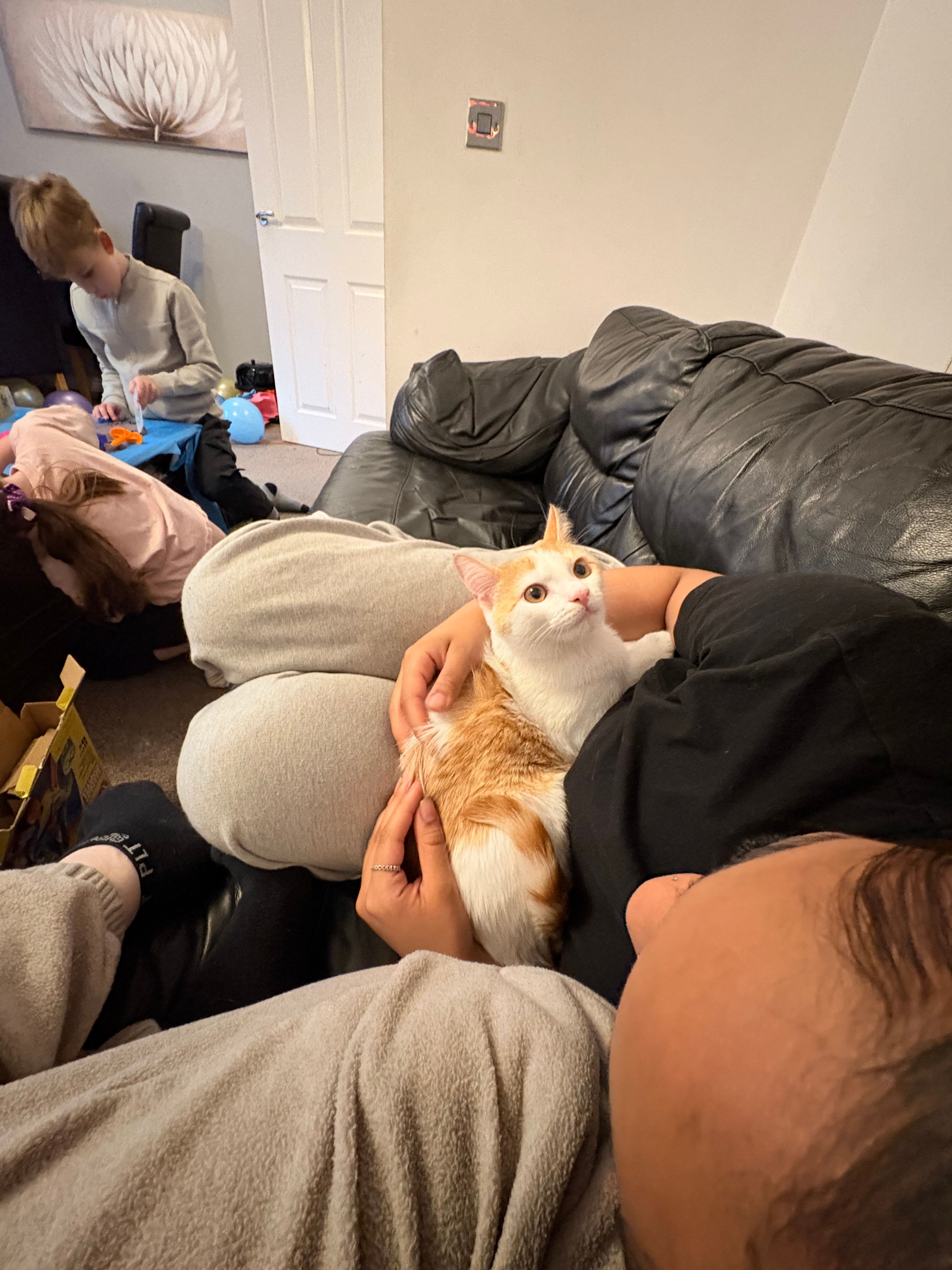 image-10