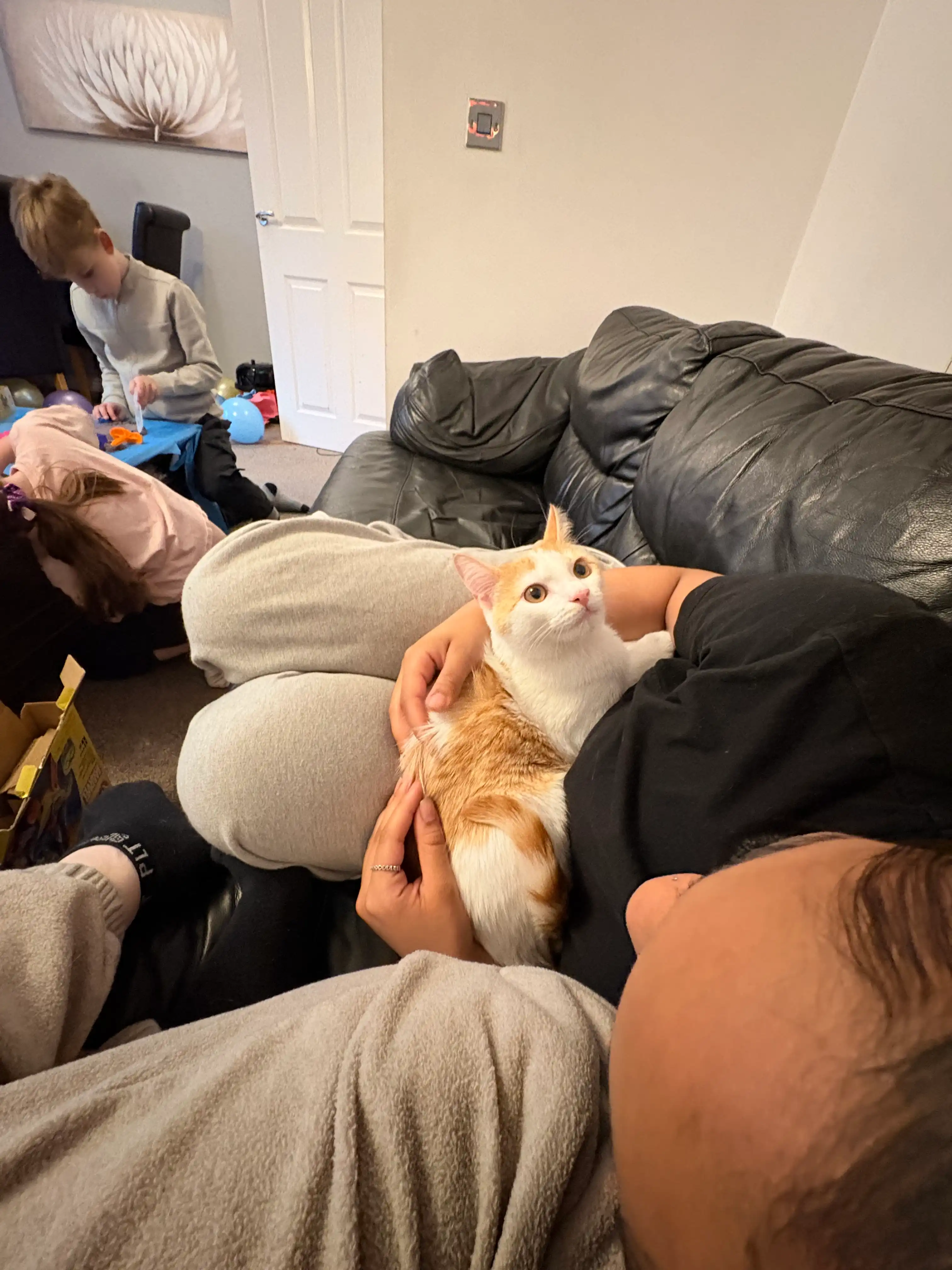 image-10