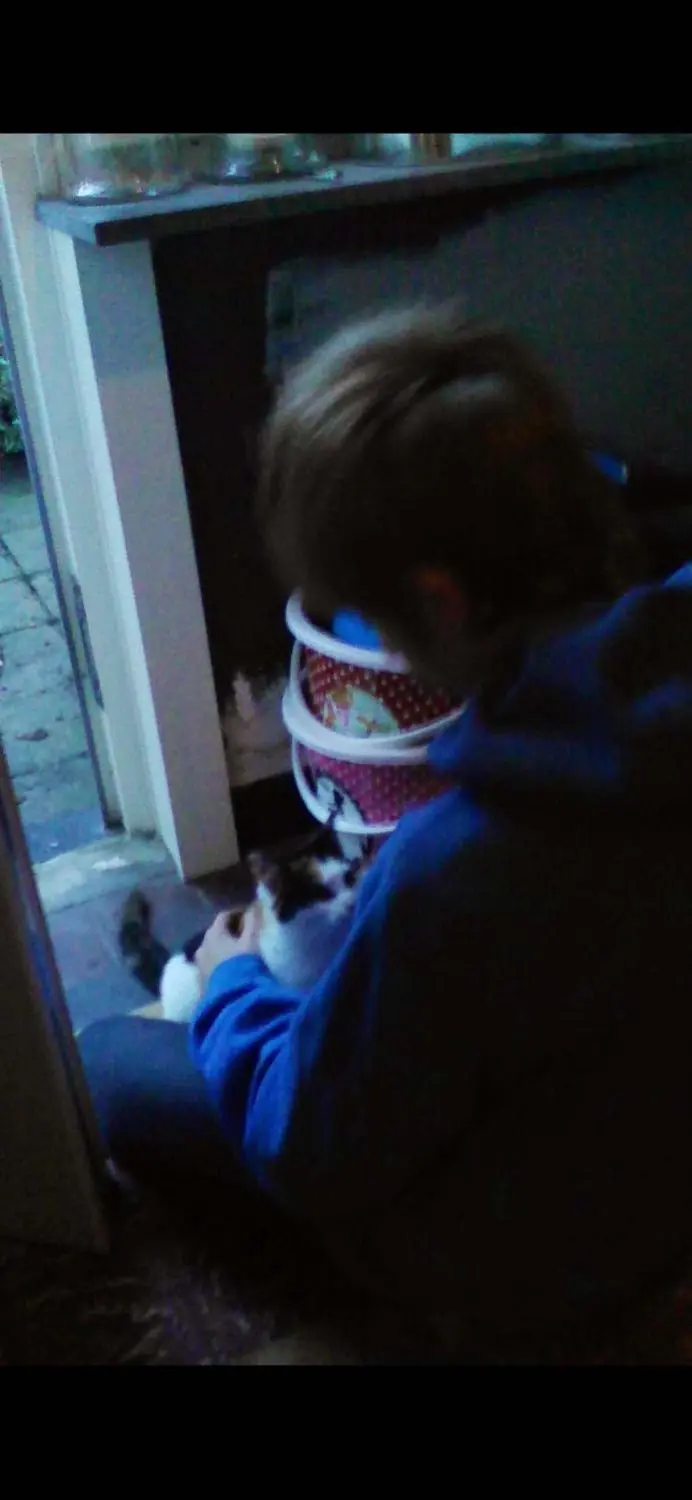 image-4