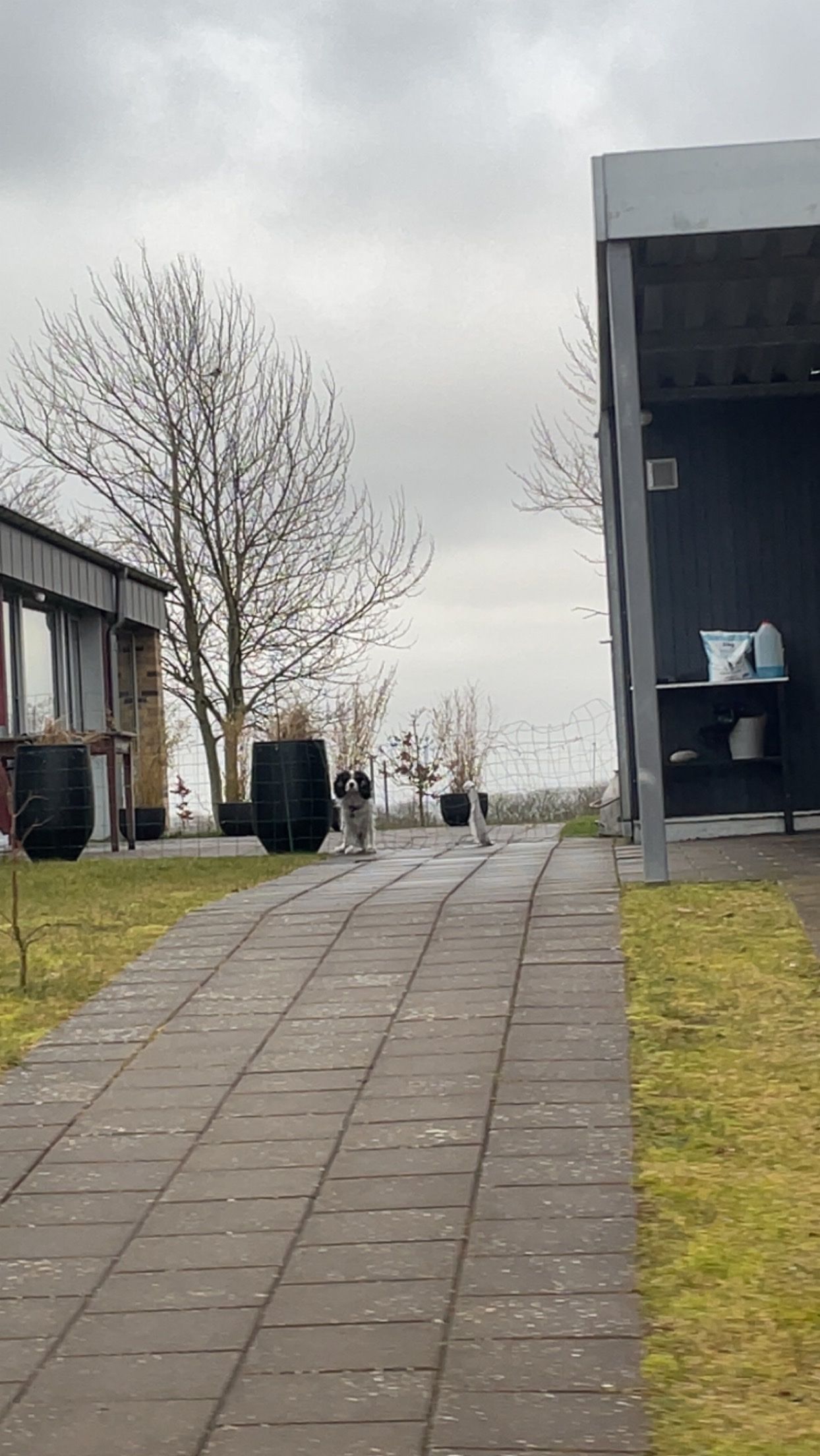 image-8