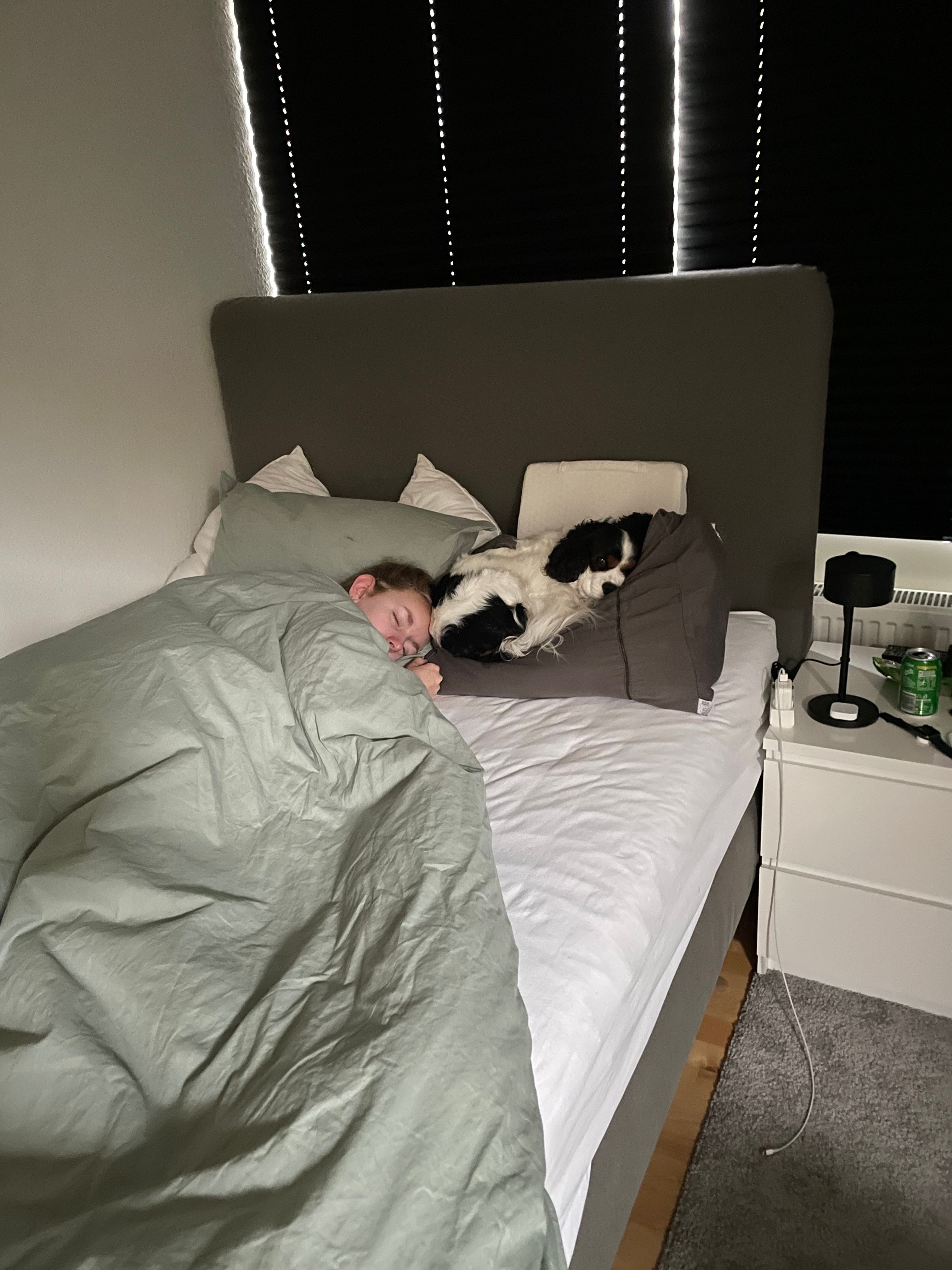 image-12