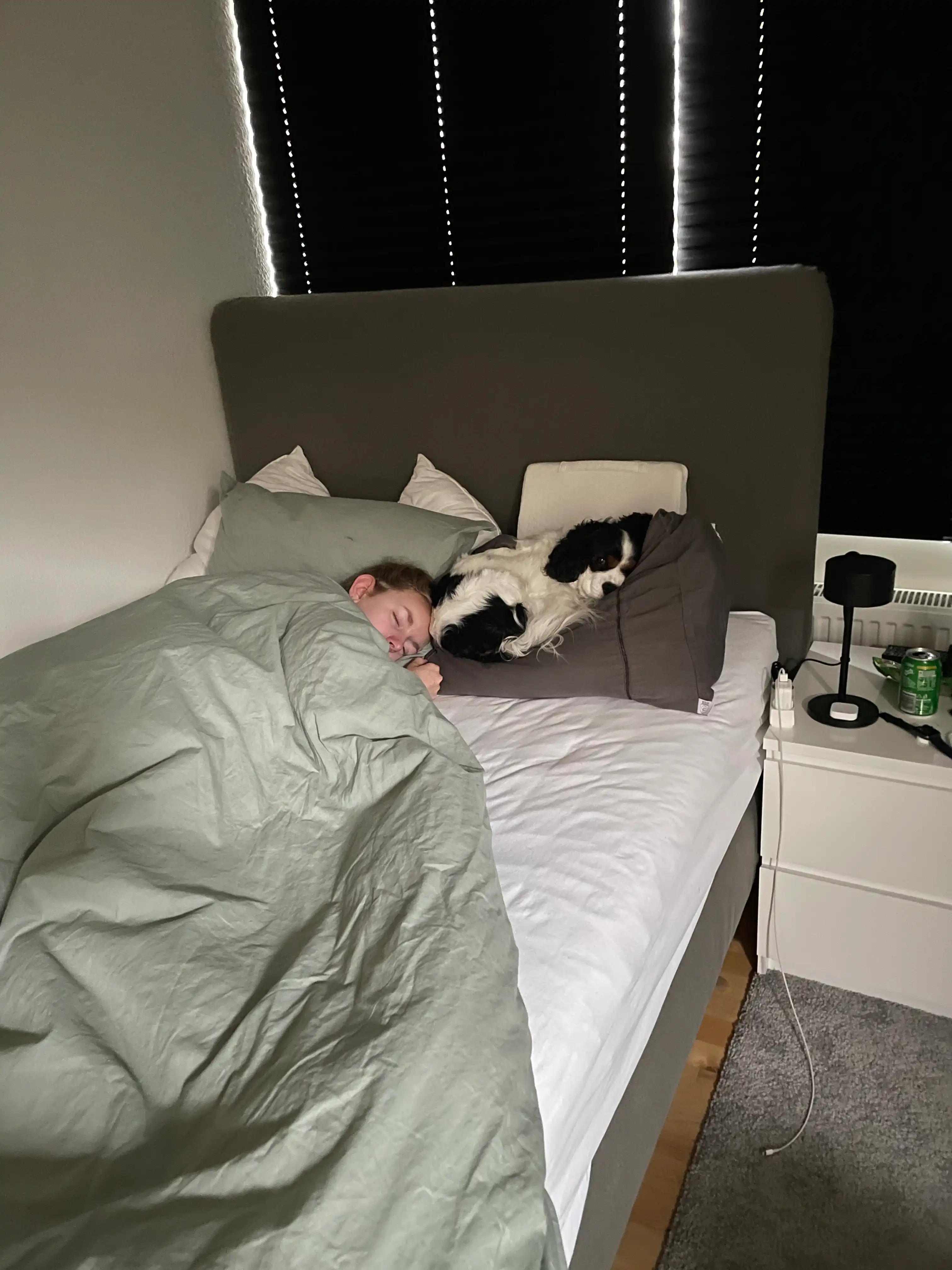 image-12