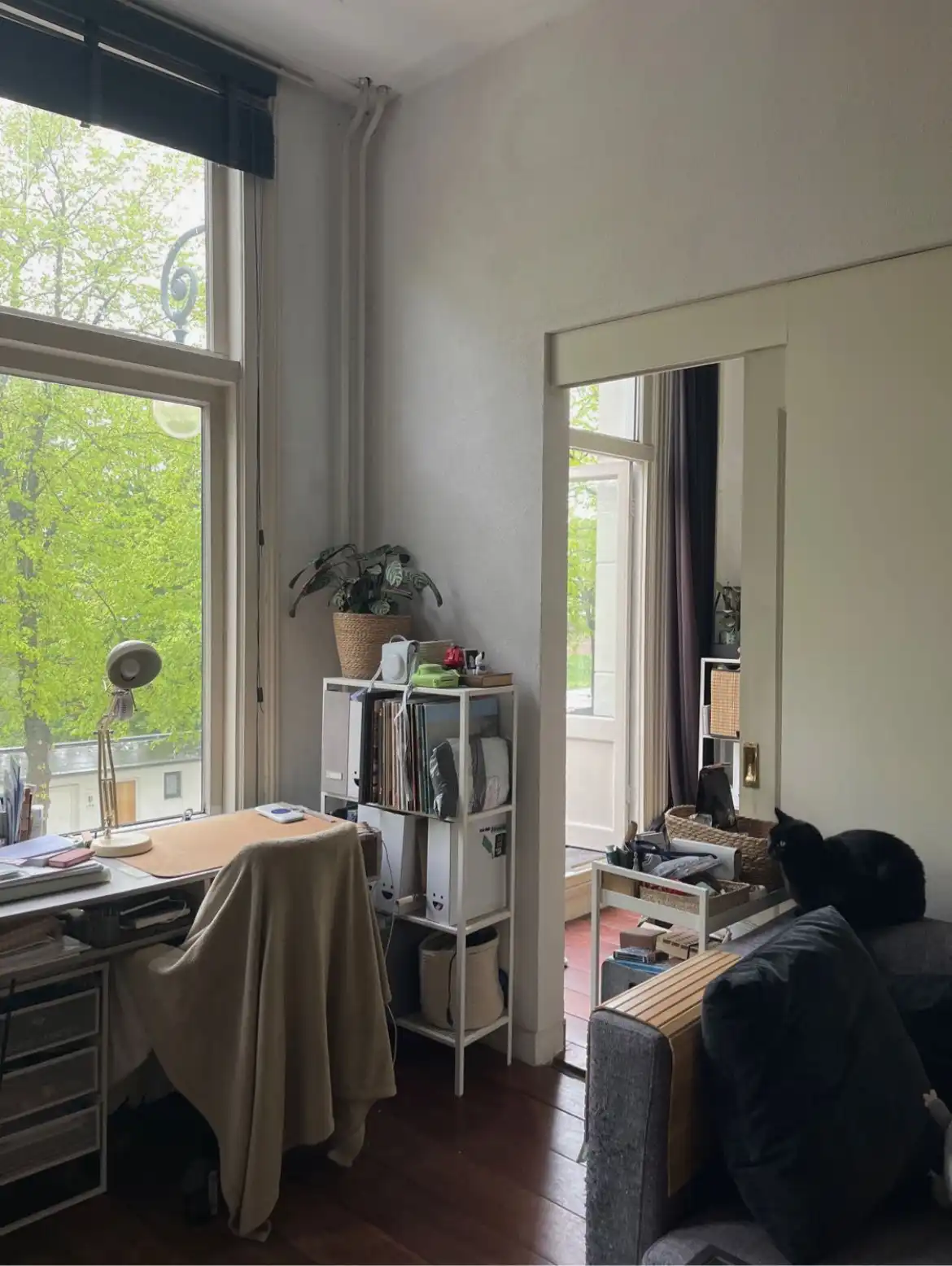image-16