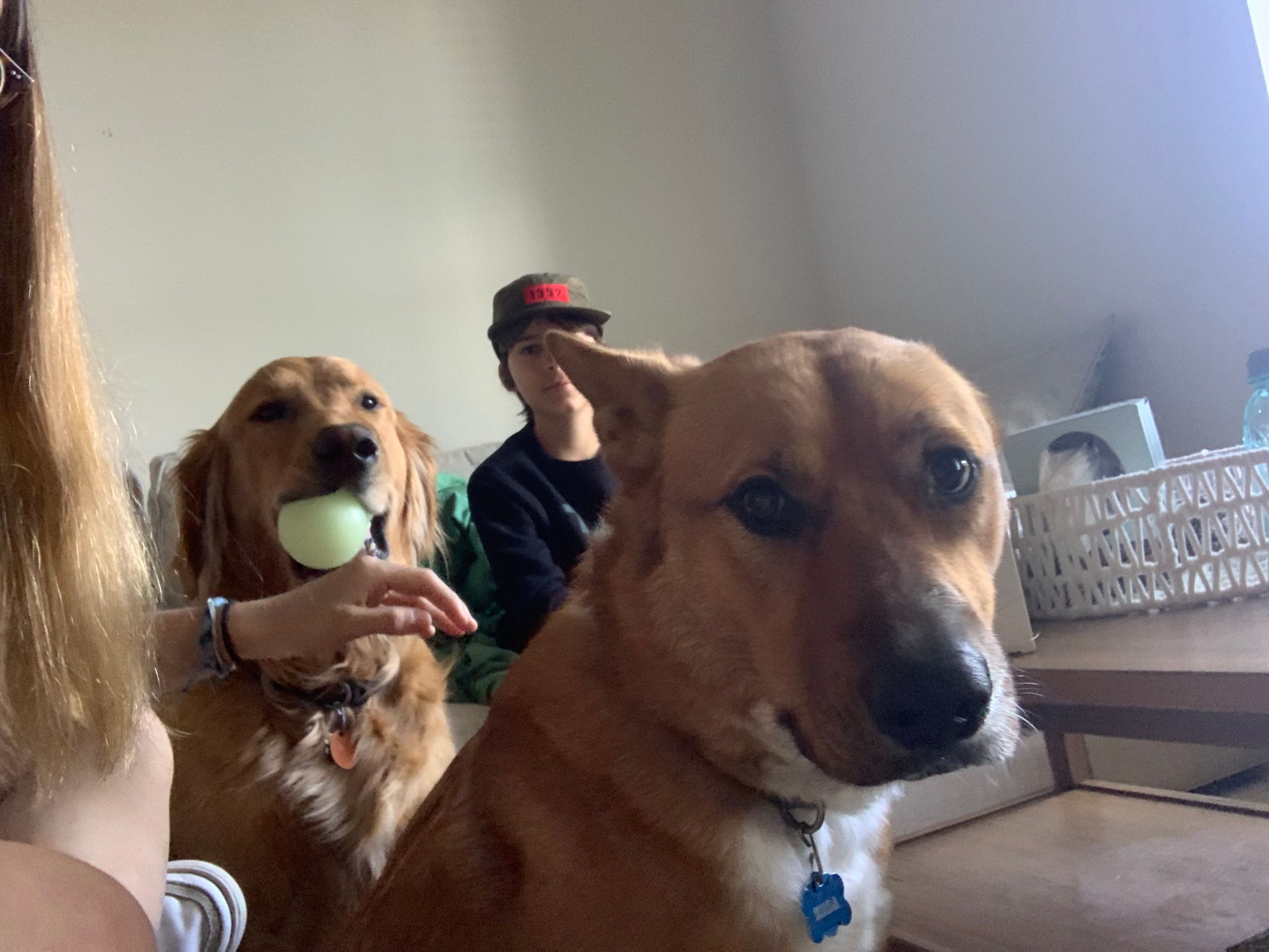 image-11