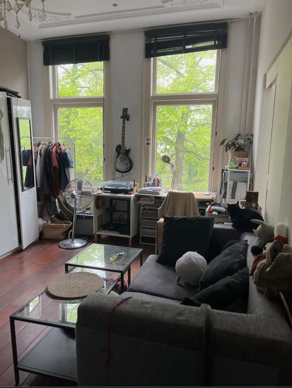 image-14