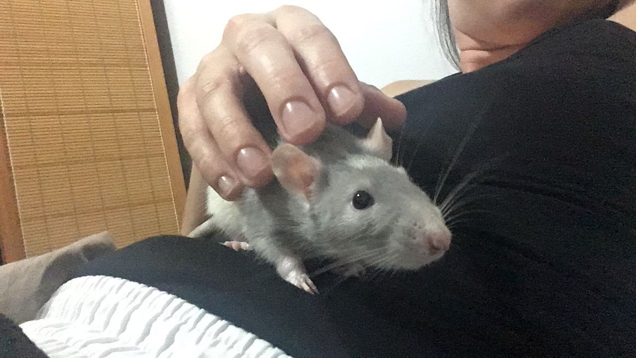 image-3