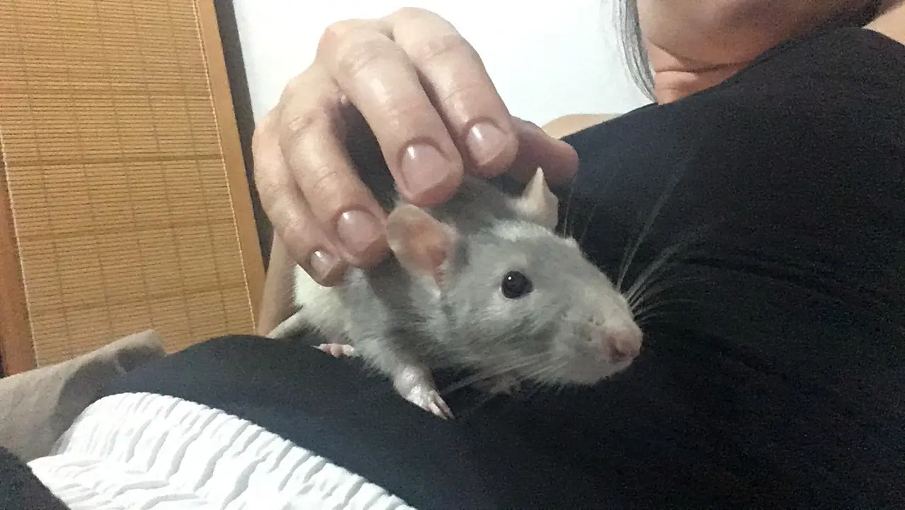 image-3