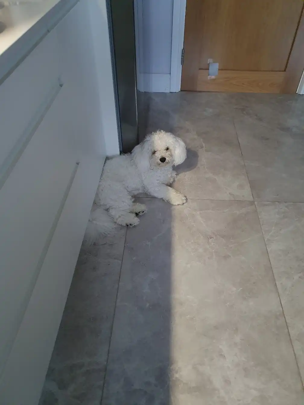image-5