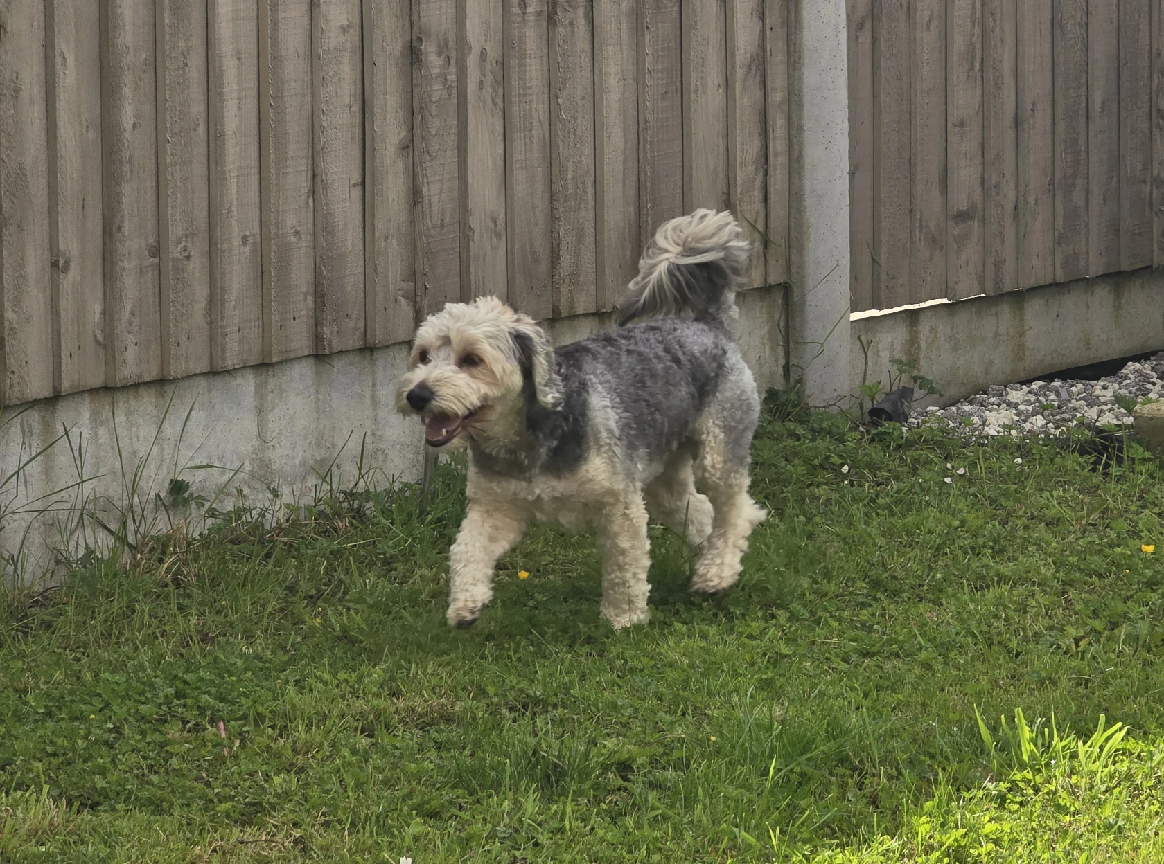 image-100