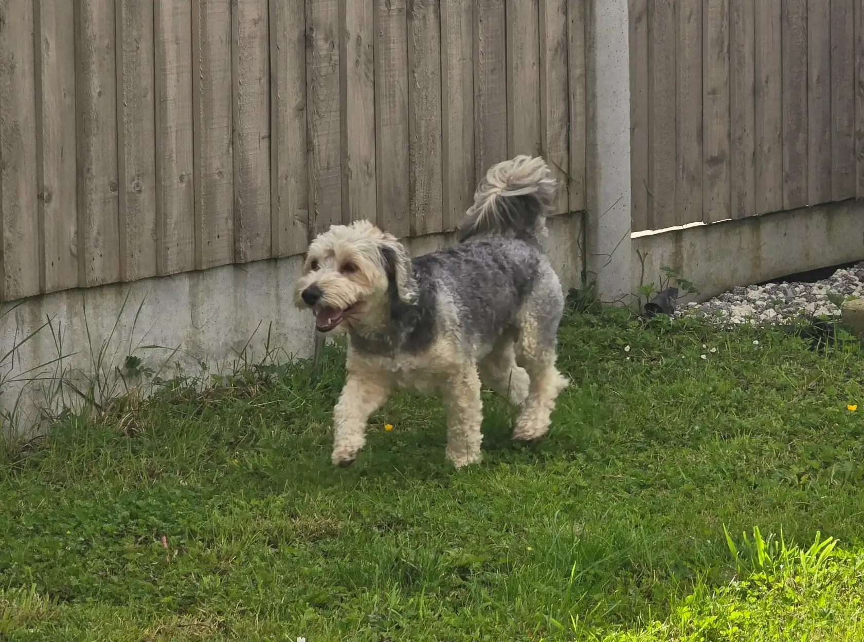 image-100
