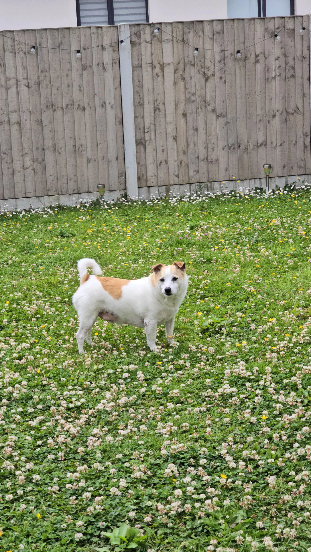 image-88