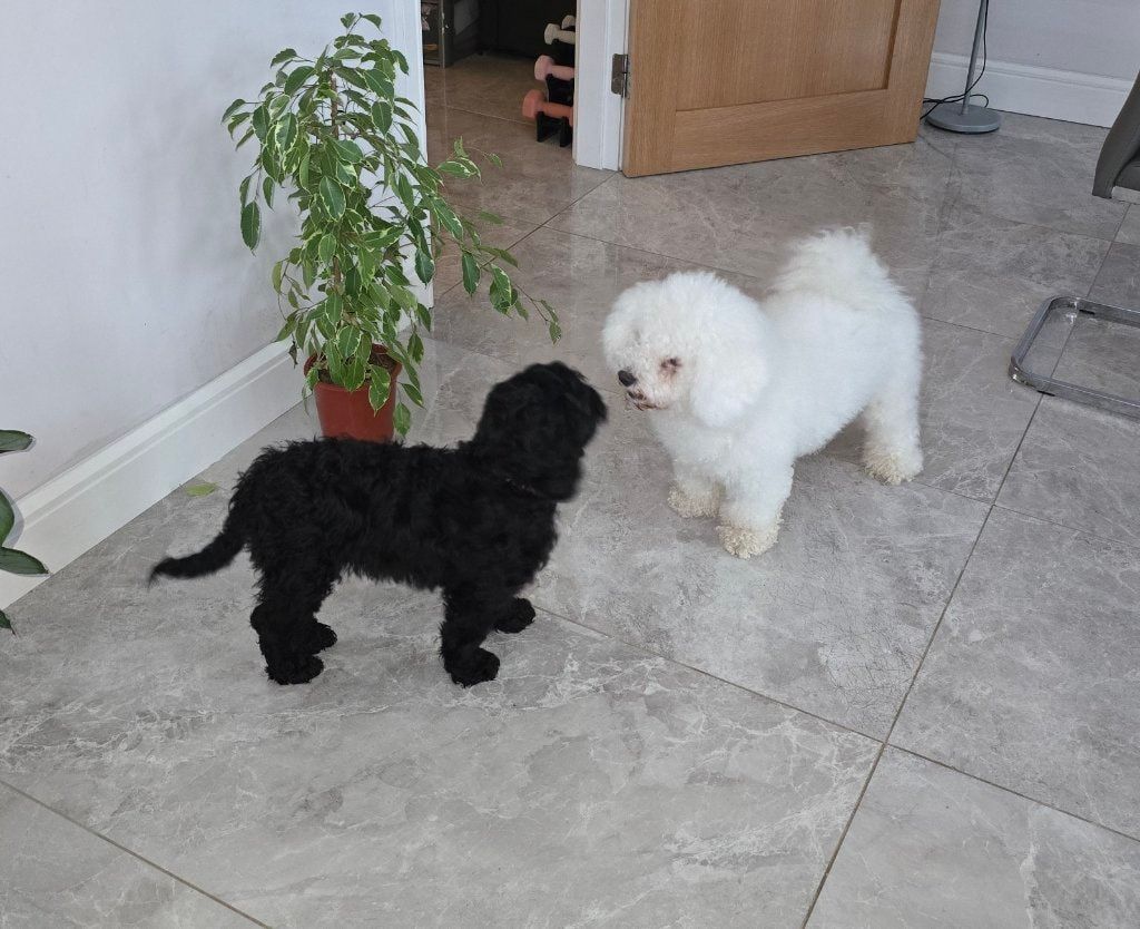 image-41