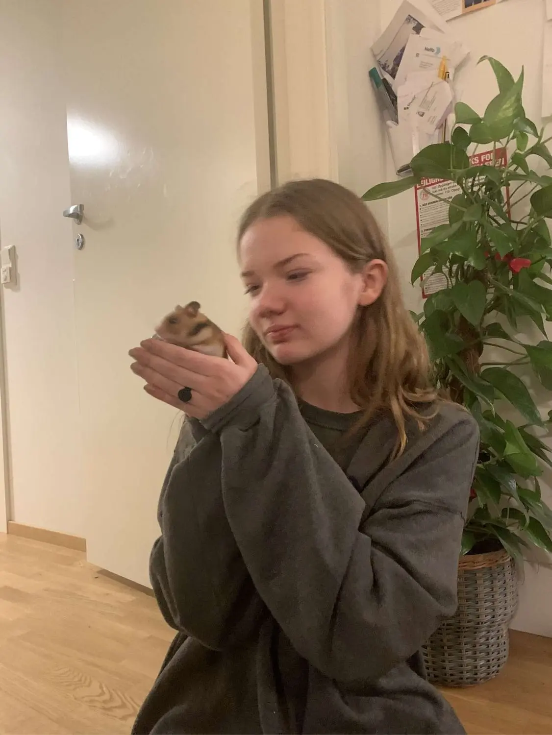 image-1