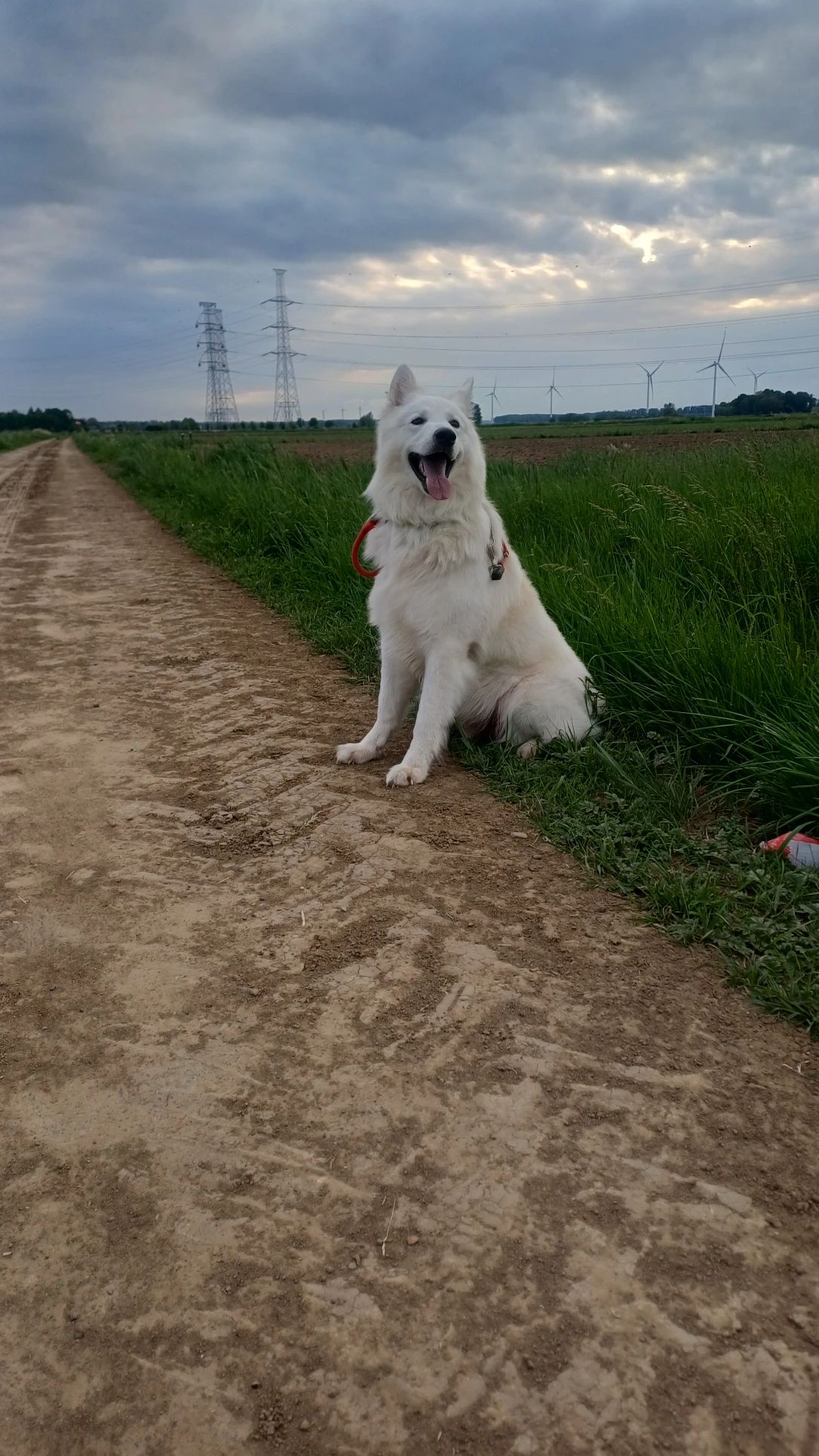 image-16