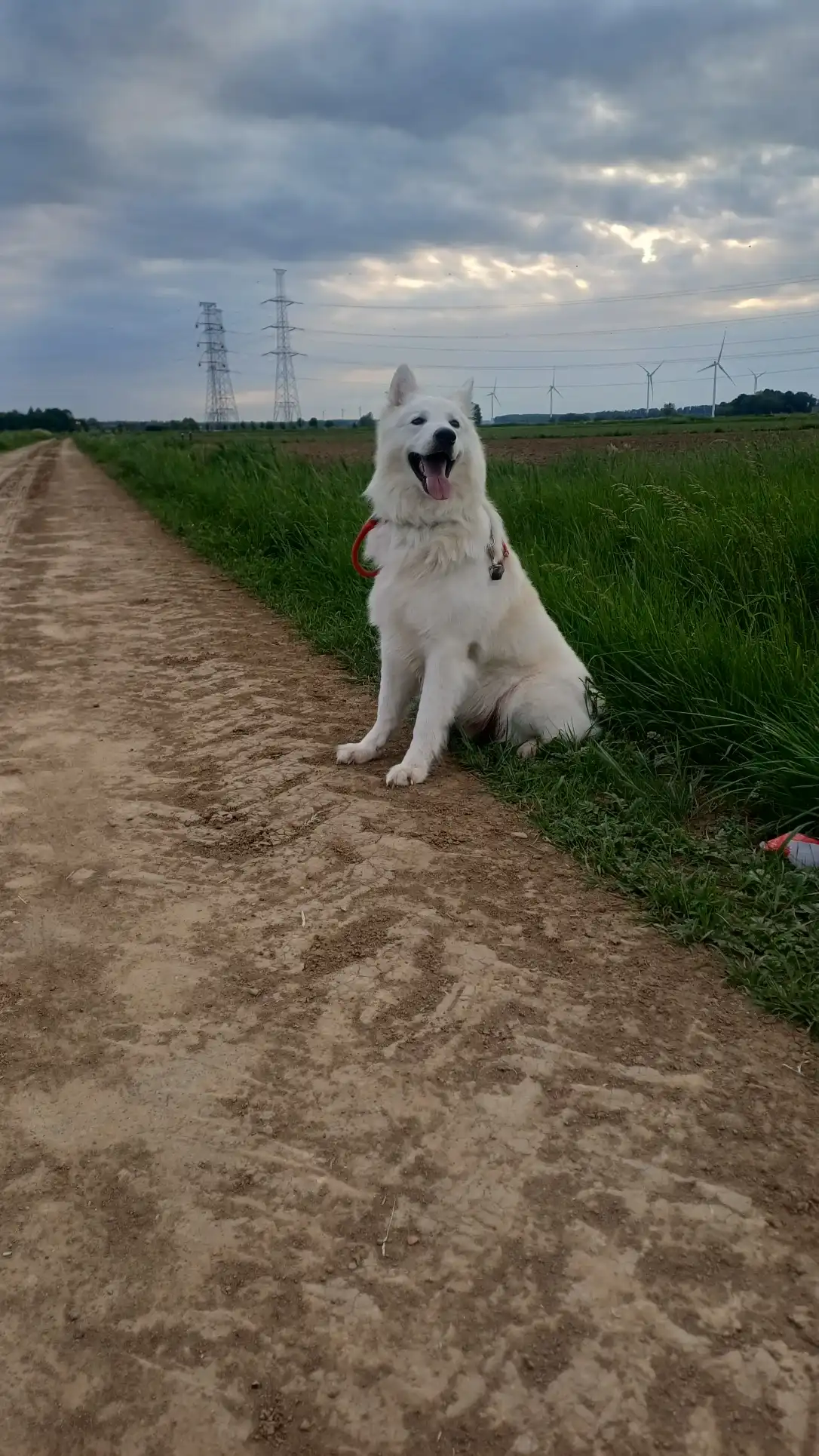 image-16