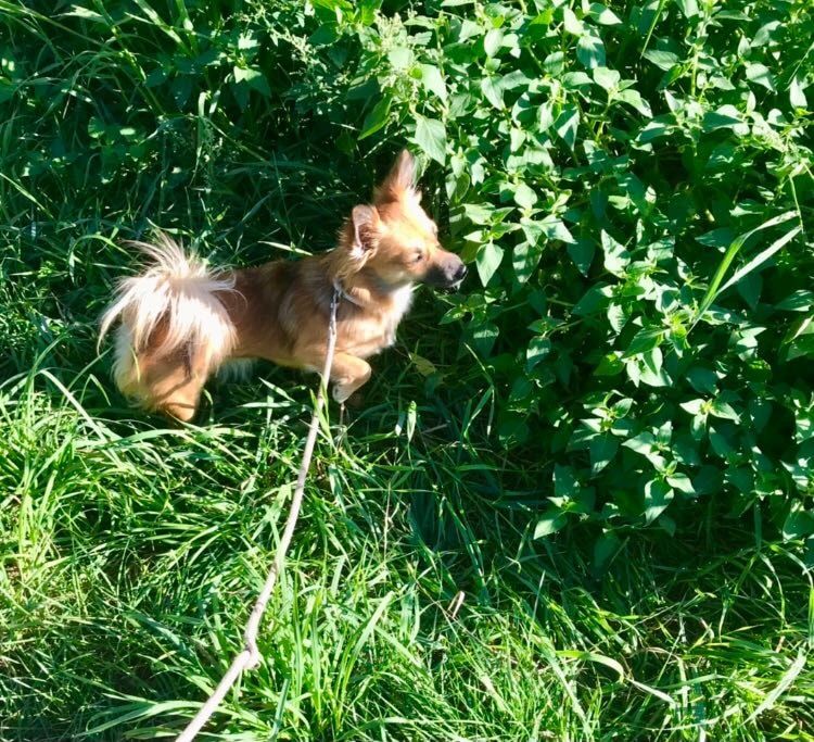 image-8