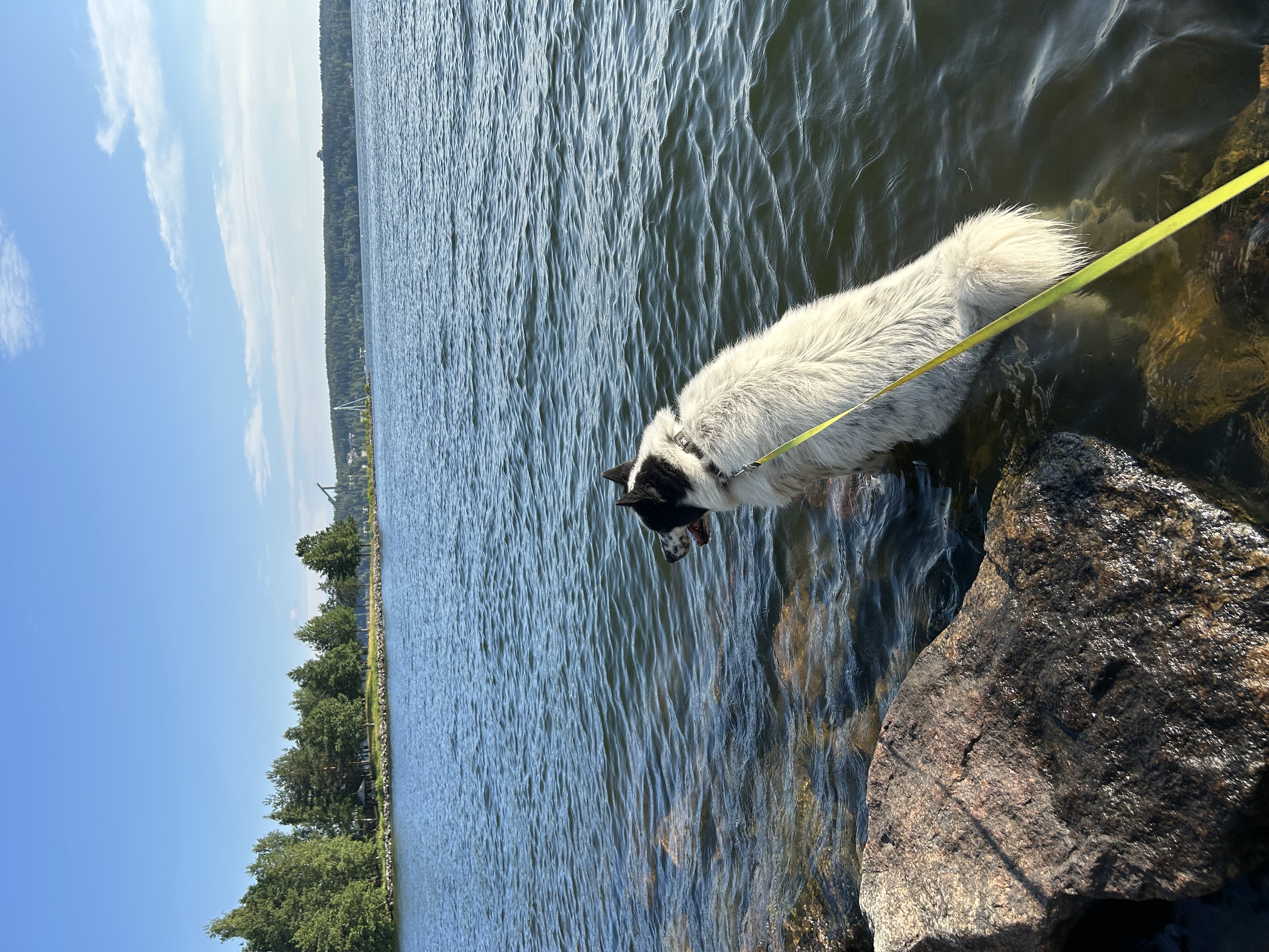 image-6