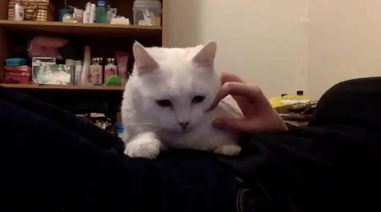 image-5