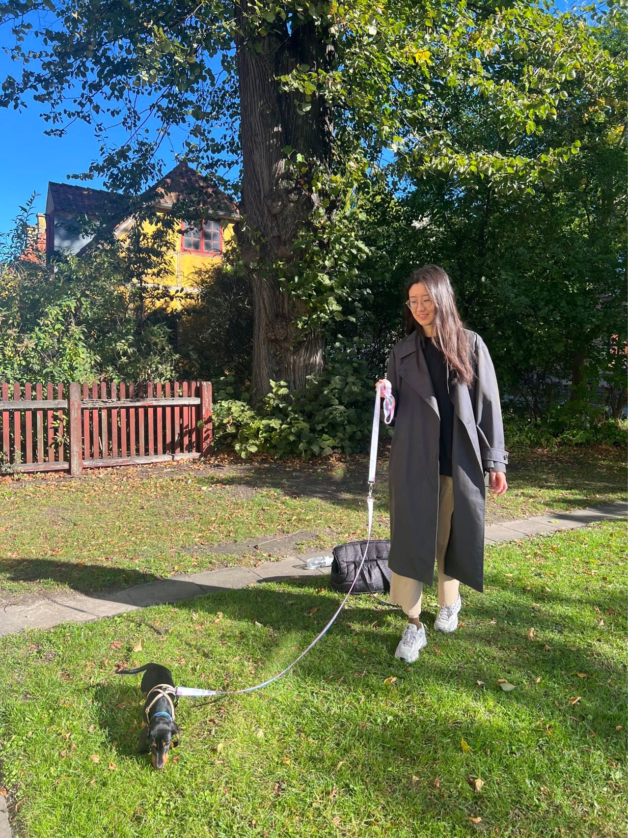 image-7