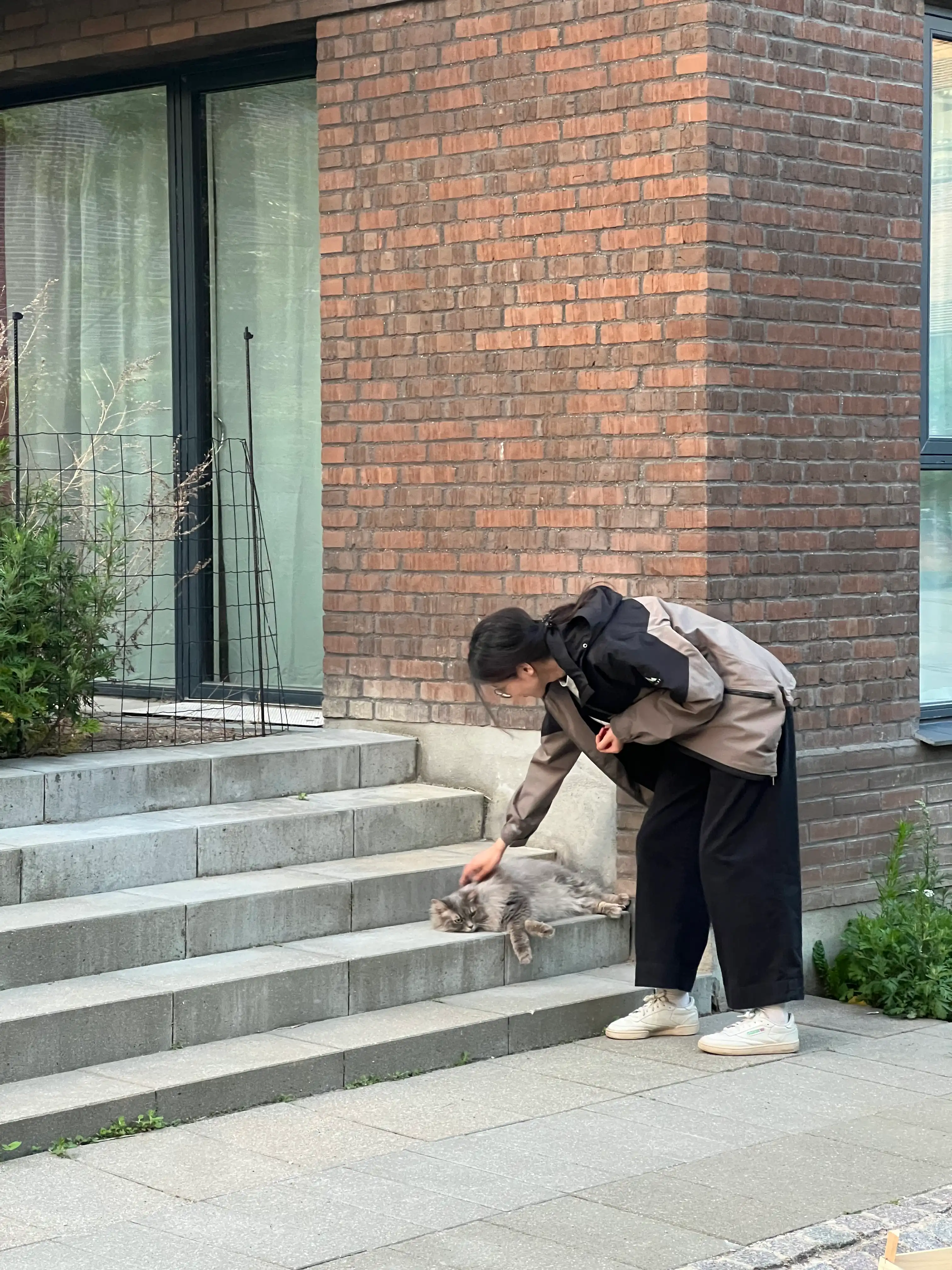 image-8