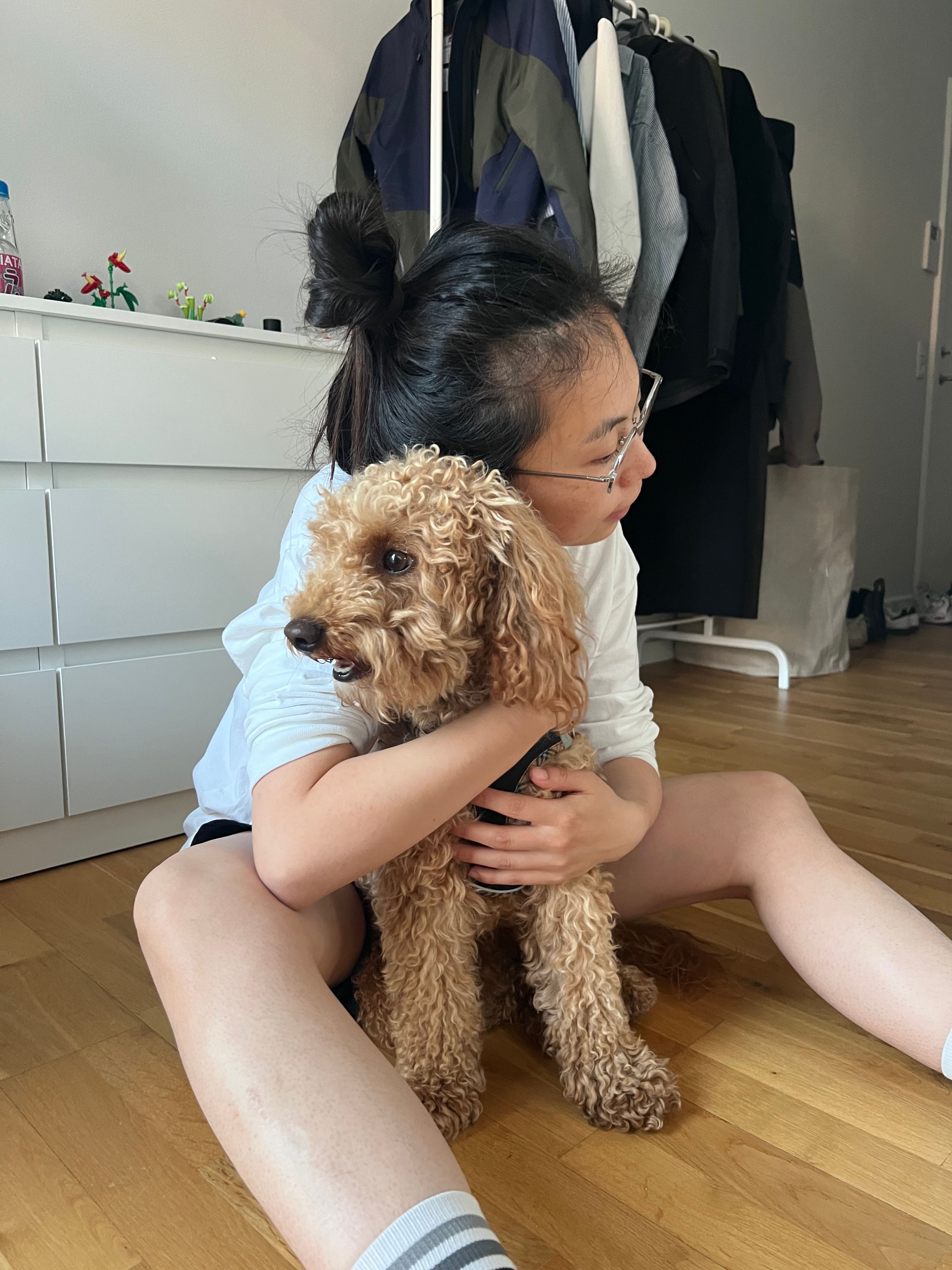 image-12