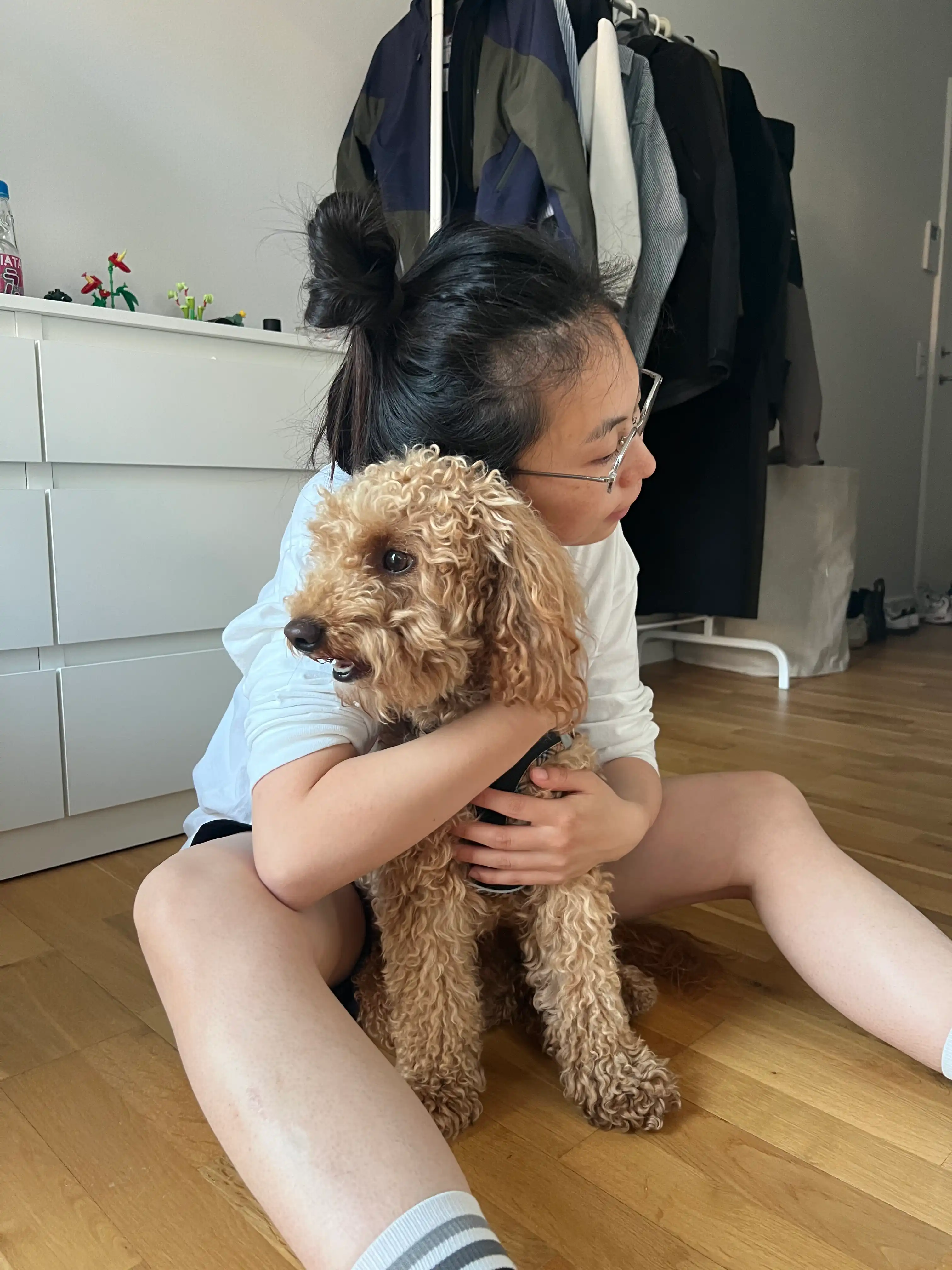 image-12