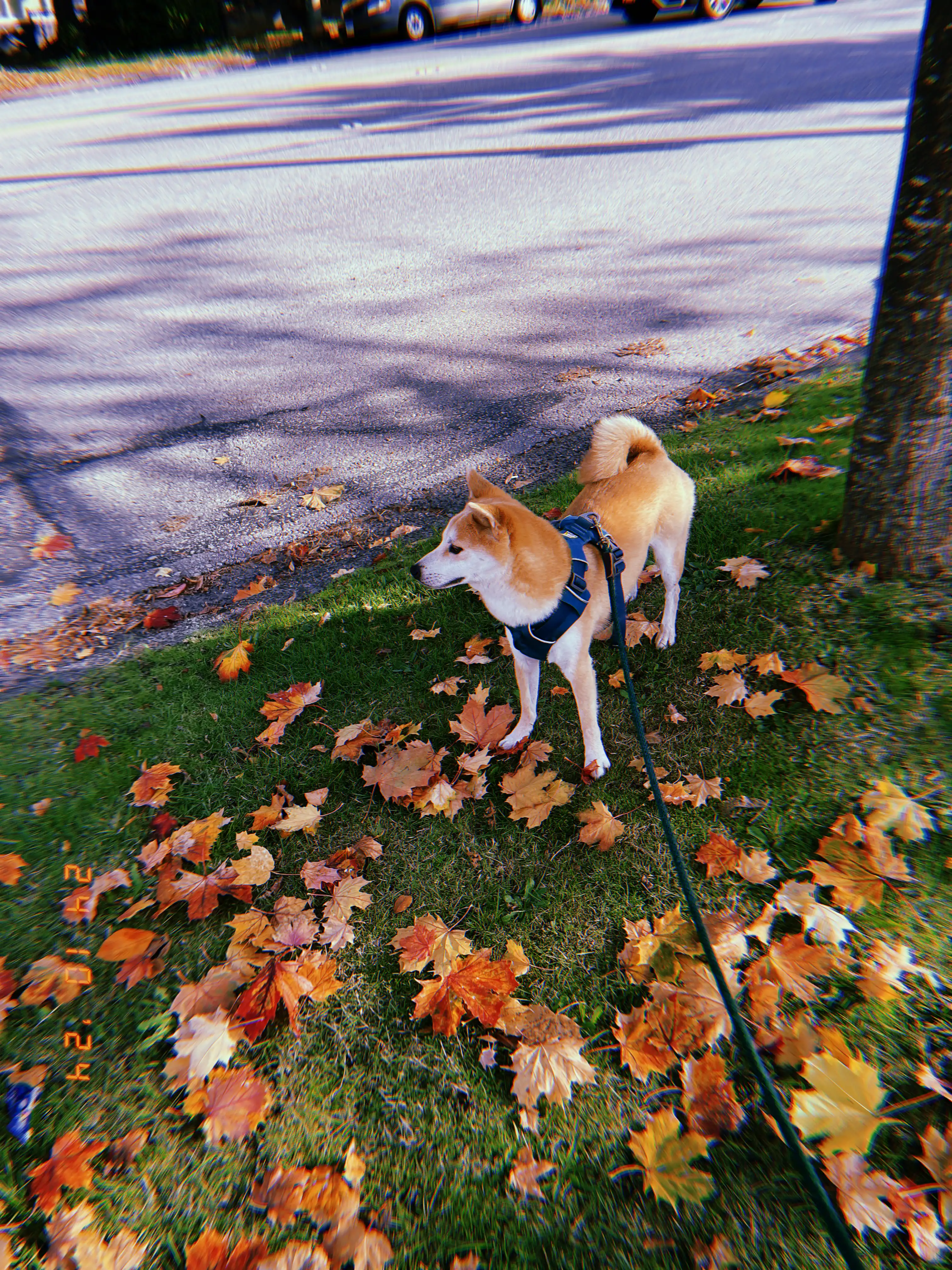 image-17