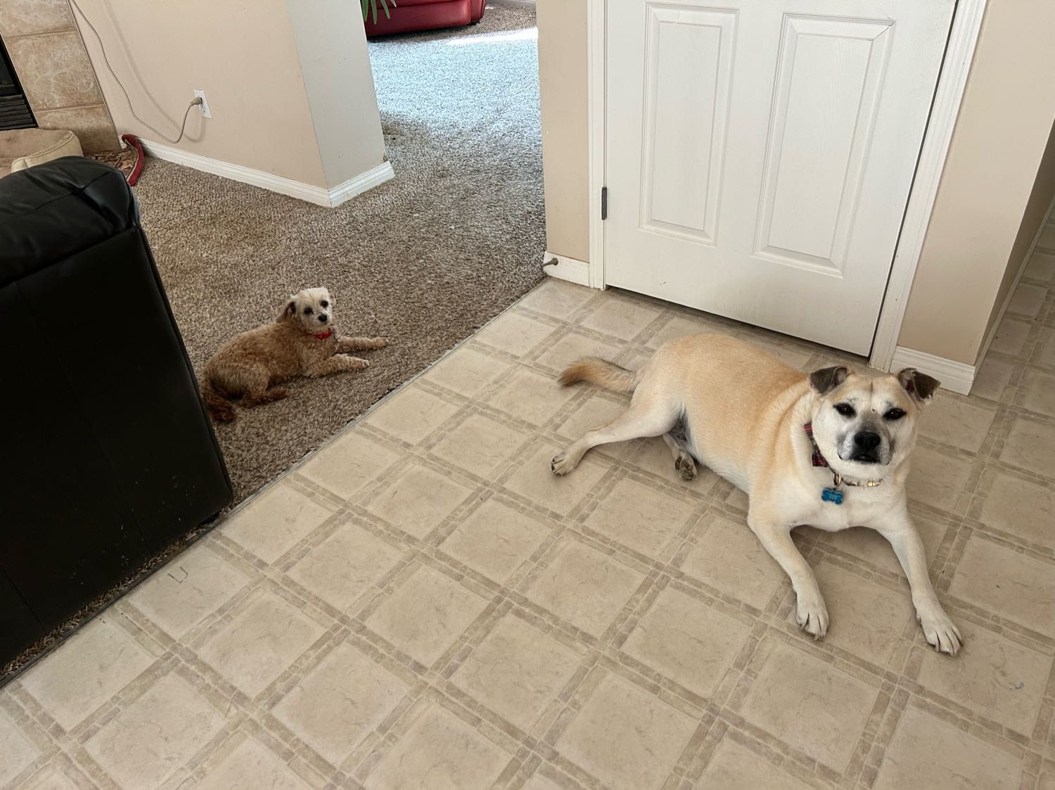 image-12
