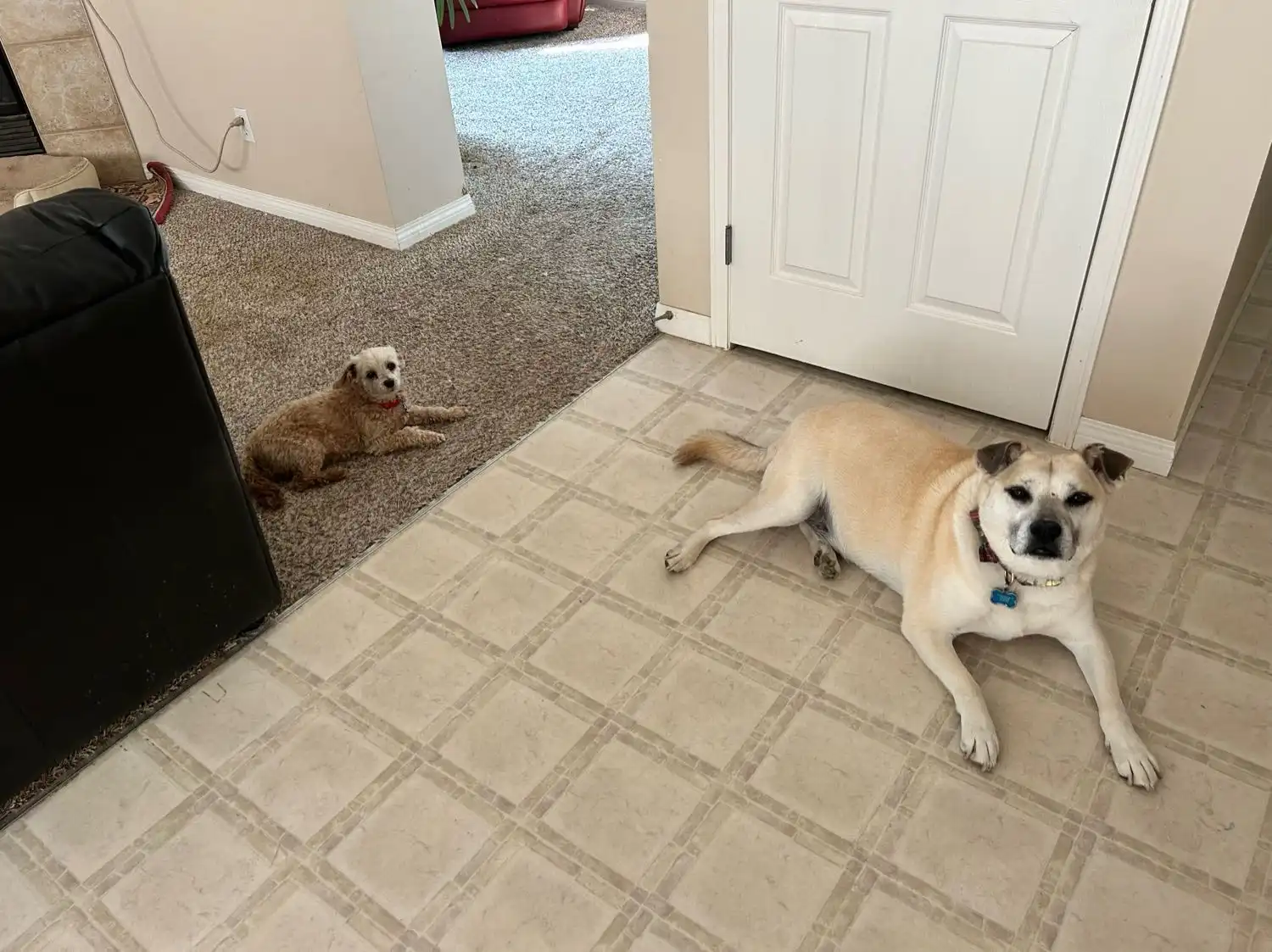 image-12