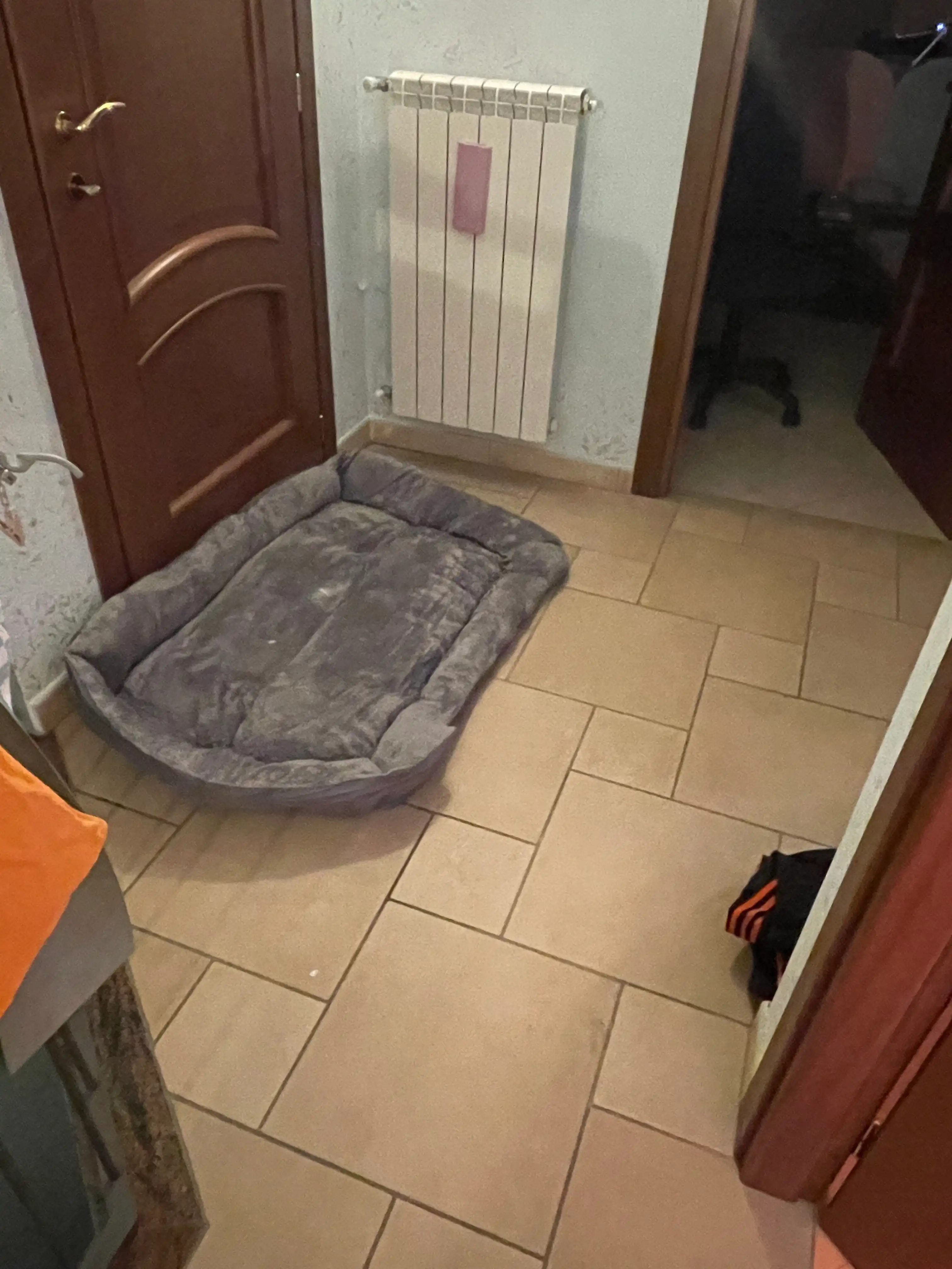 image-43