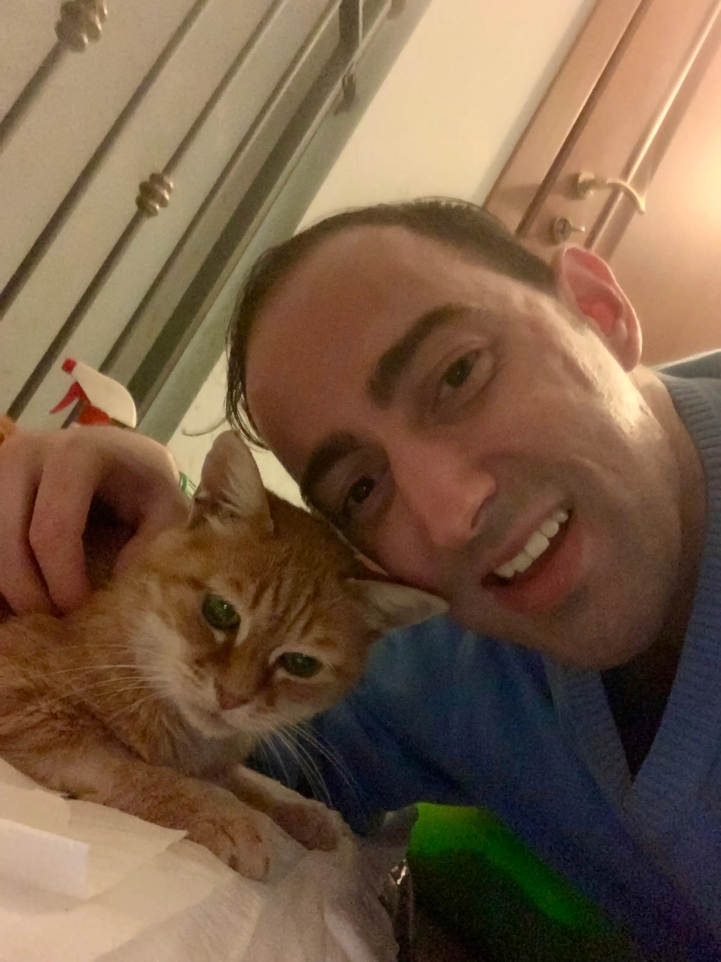 image-6