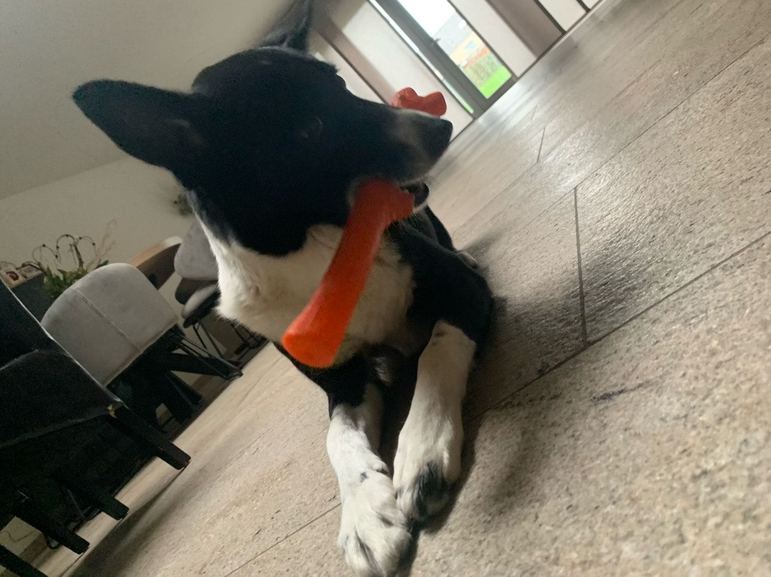 image-10