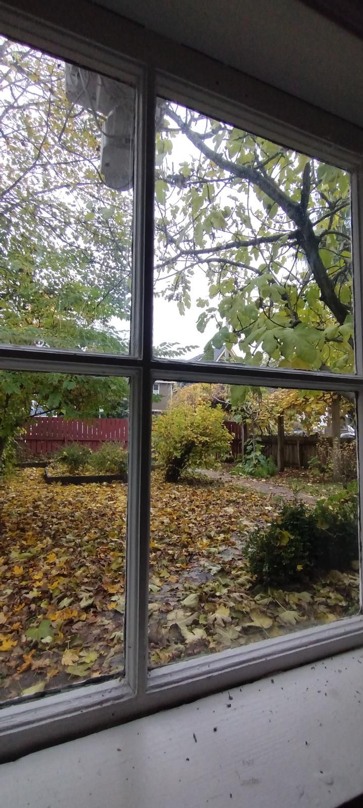 image-18