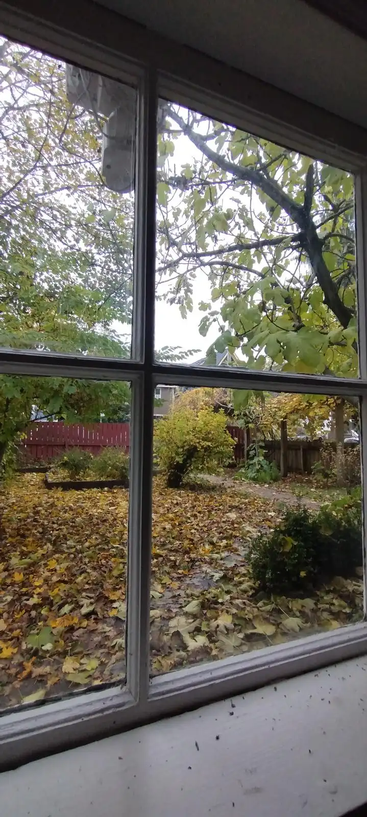 image-18