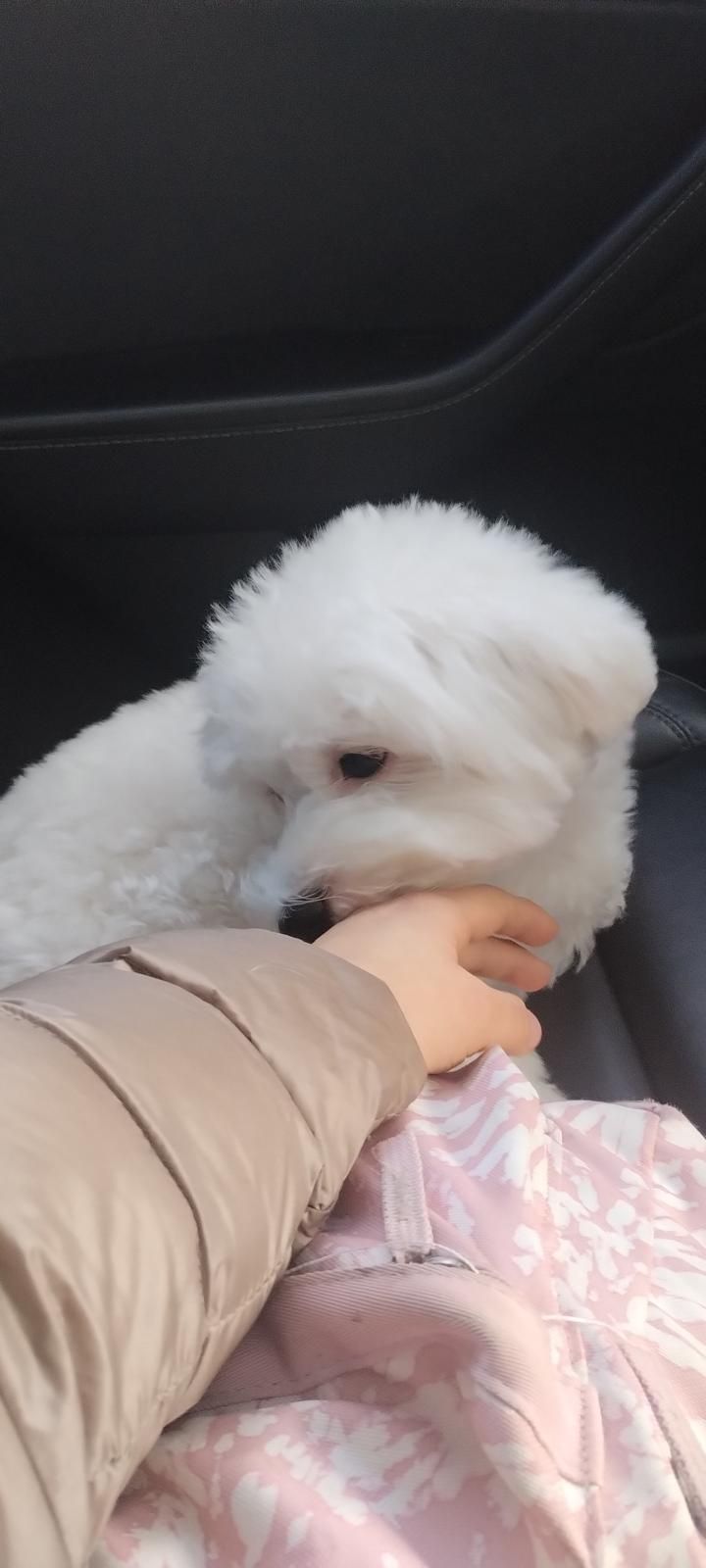 image-6