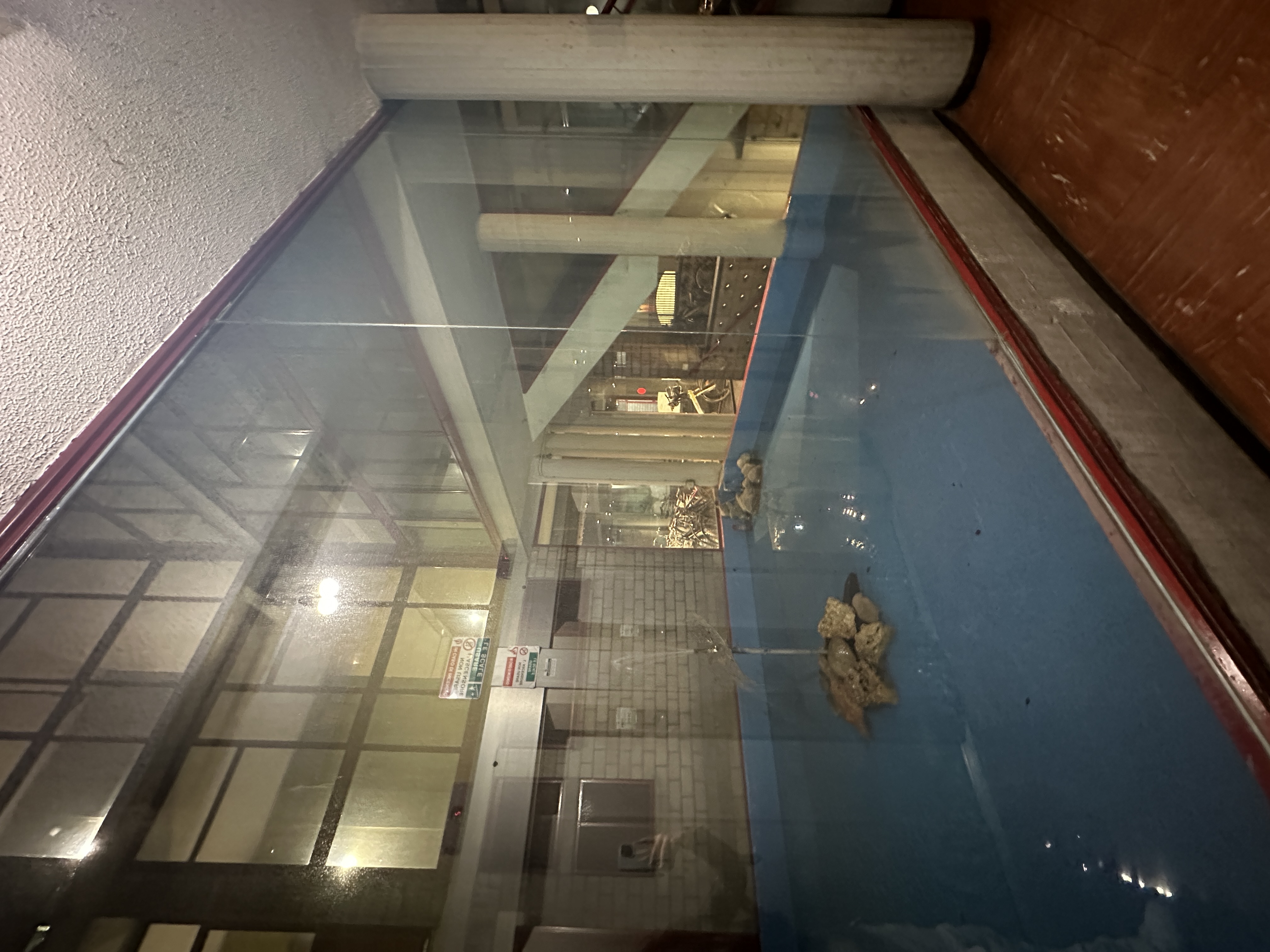 image-25