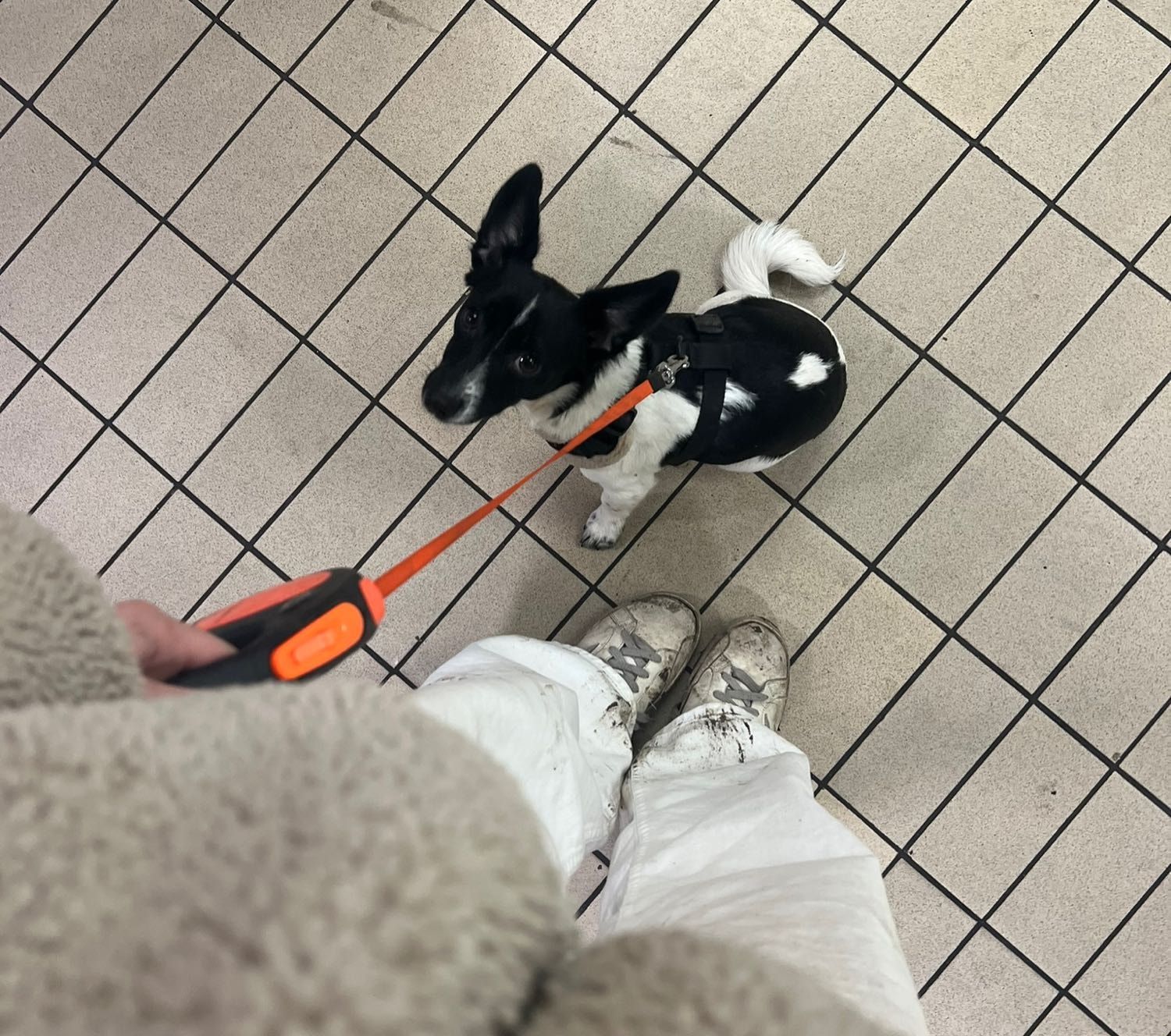 image-6