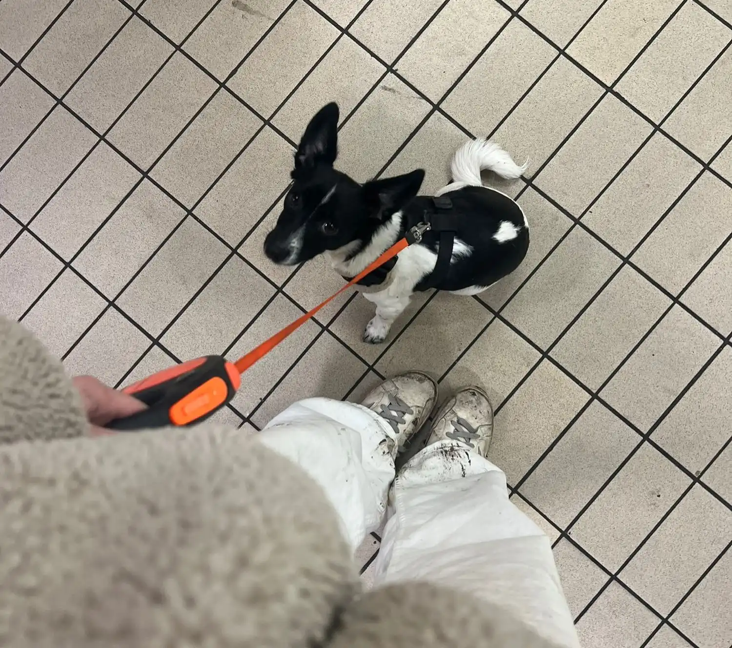 image-6