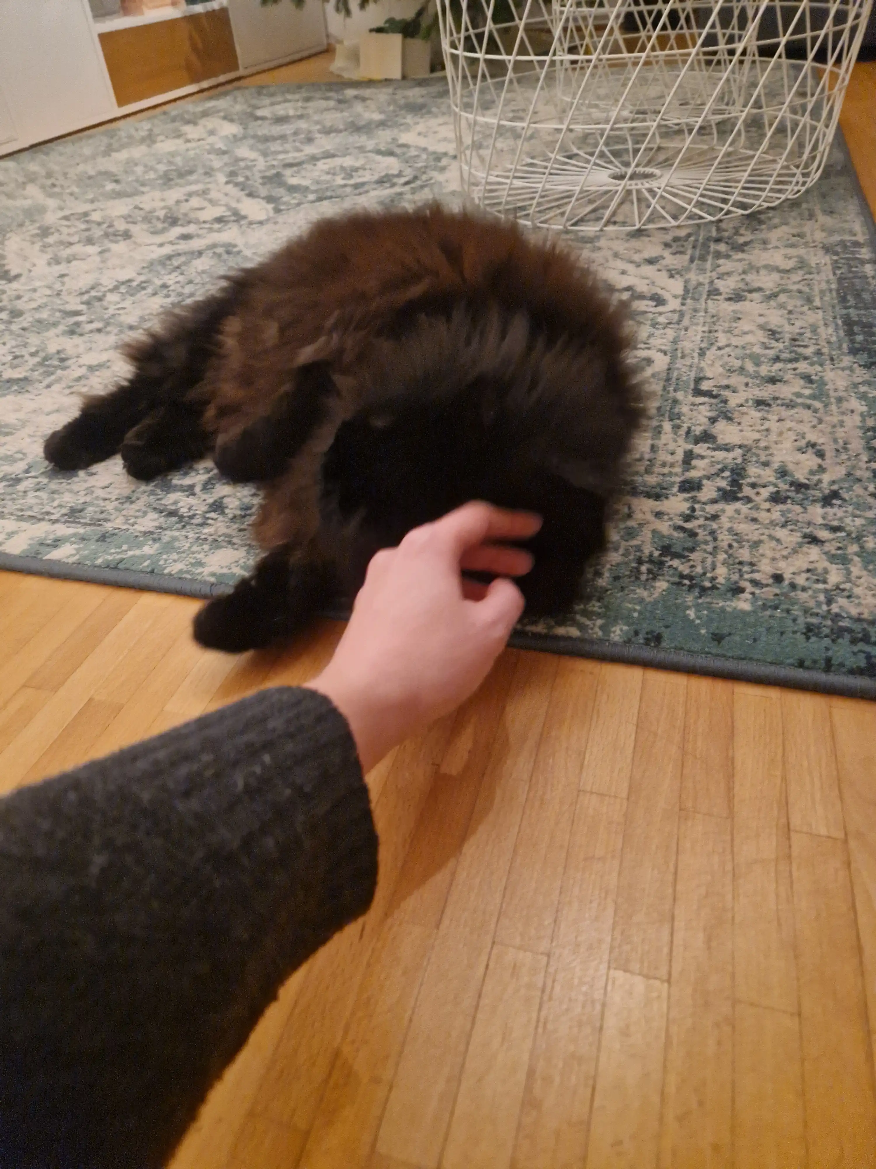image-8