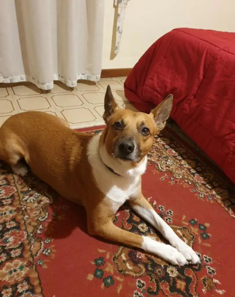 image-7