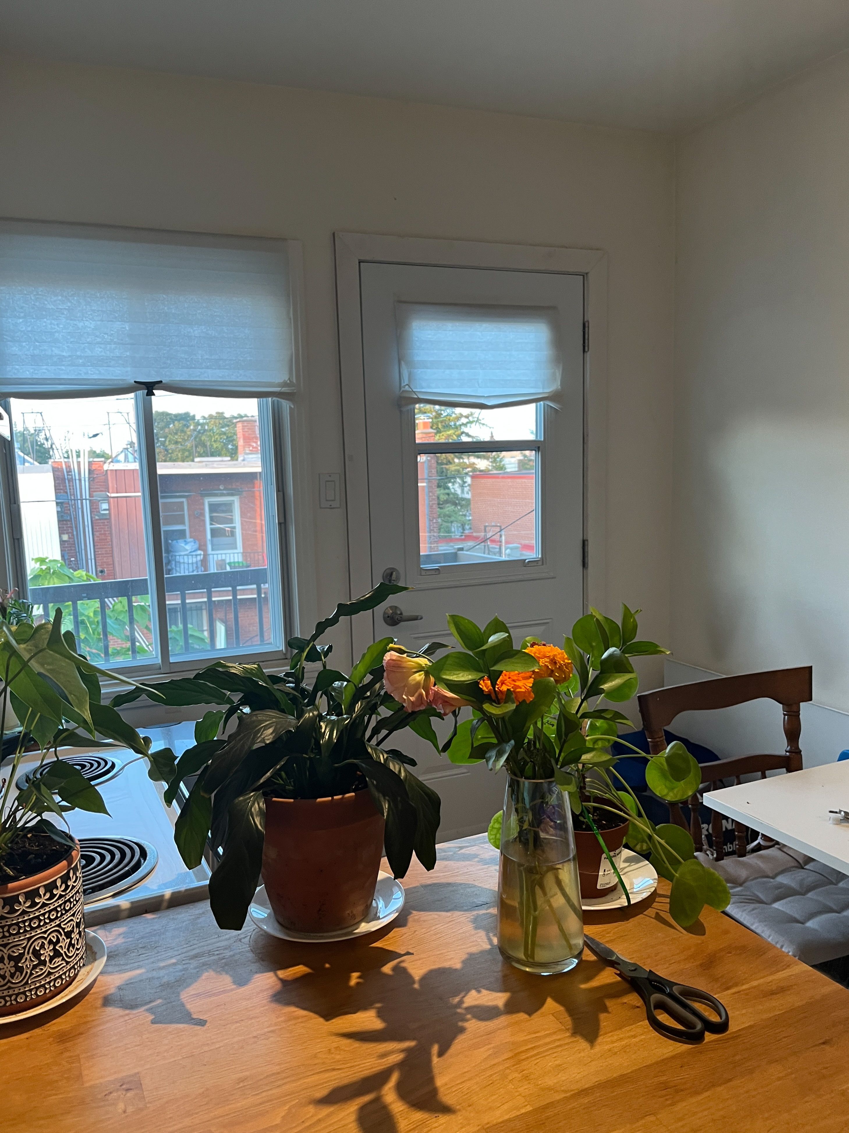 image-17