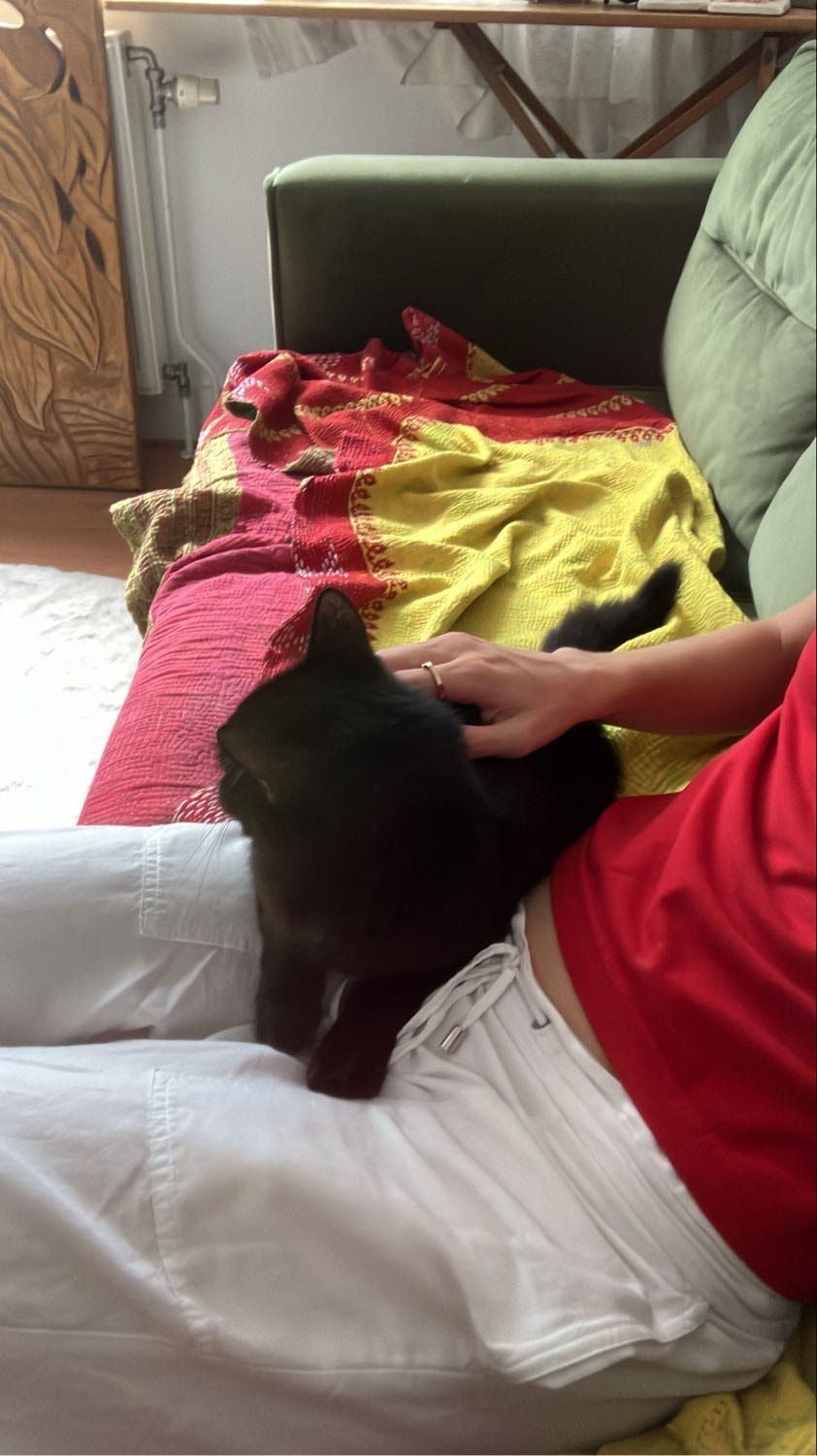 image-7